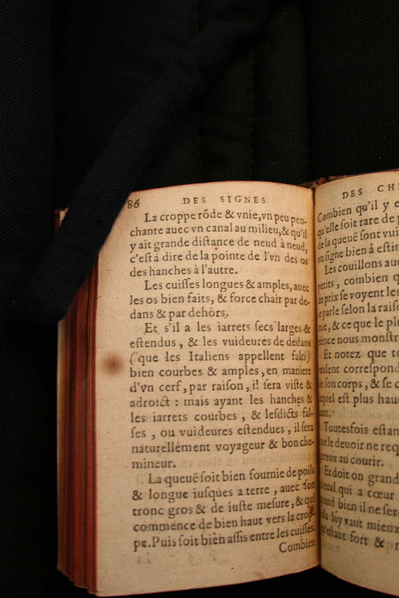 1591 - Pierre Chastaing et Benoît Rigaud - Trésor des bêtes chevalines - BM Bordeaux