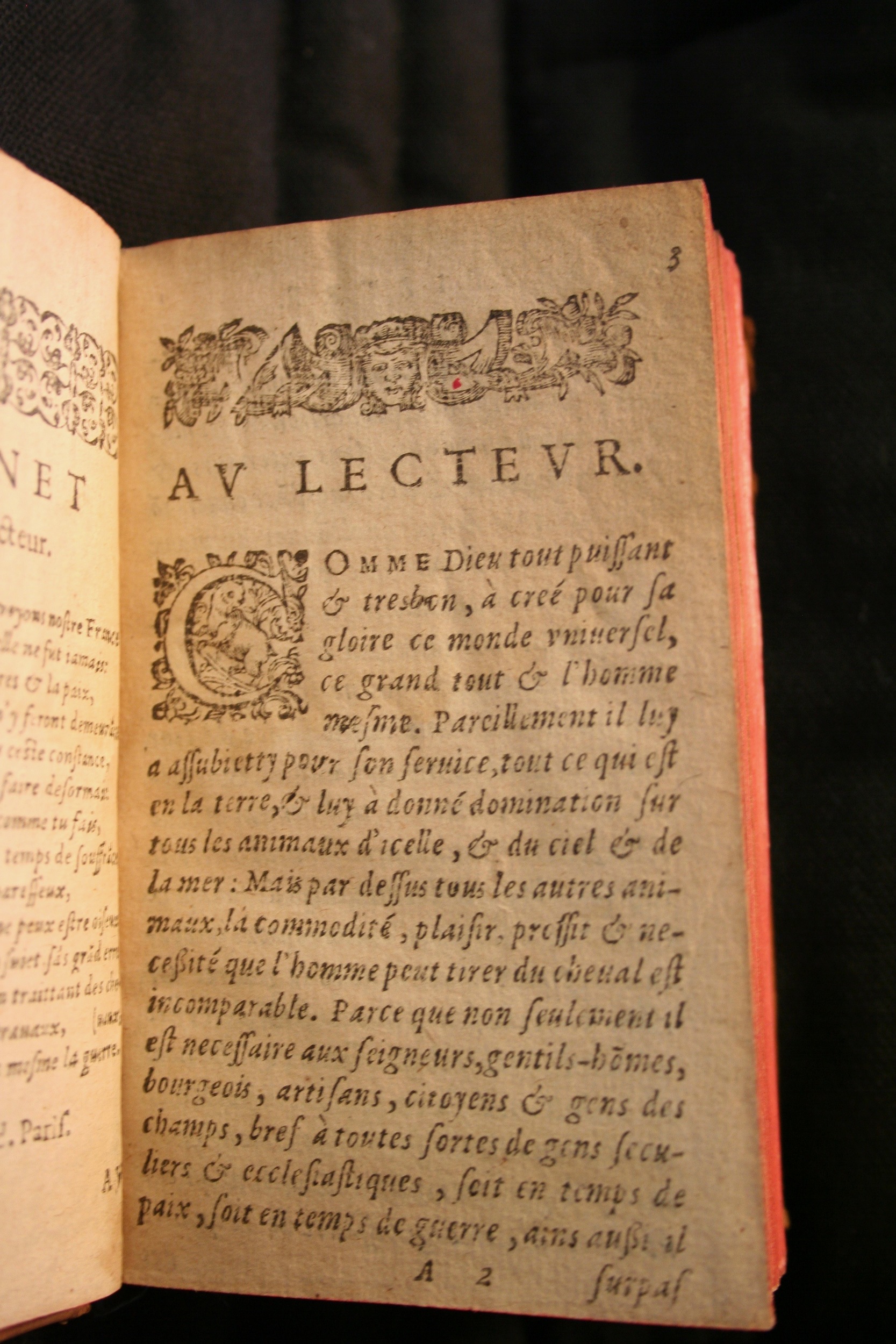 1591 - Pierre Chastaing et Benoît Rigaud - Trésor des bêtes chevalines - BM Bordeaux