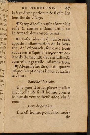 1586 - Benoît Rigaud - Trésor des fleurs et secrets de médecine - Université Paris Cité 1586 - Benoît Rigaud - Trésor des fleurs et secrets de médecine - Université Paris Cité