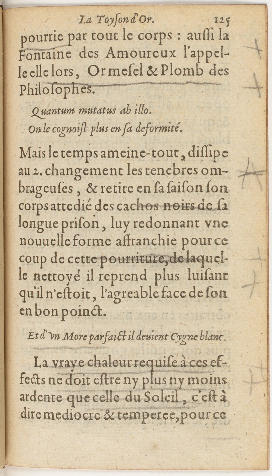 1612 - Charles Sevestre - Toison d’or ou la fleur des Trésors - BnF