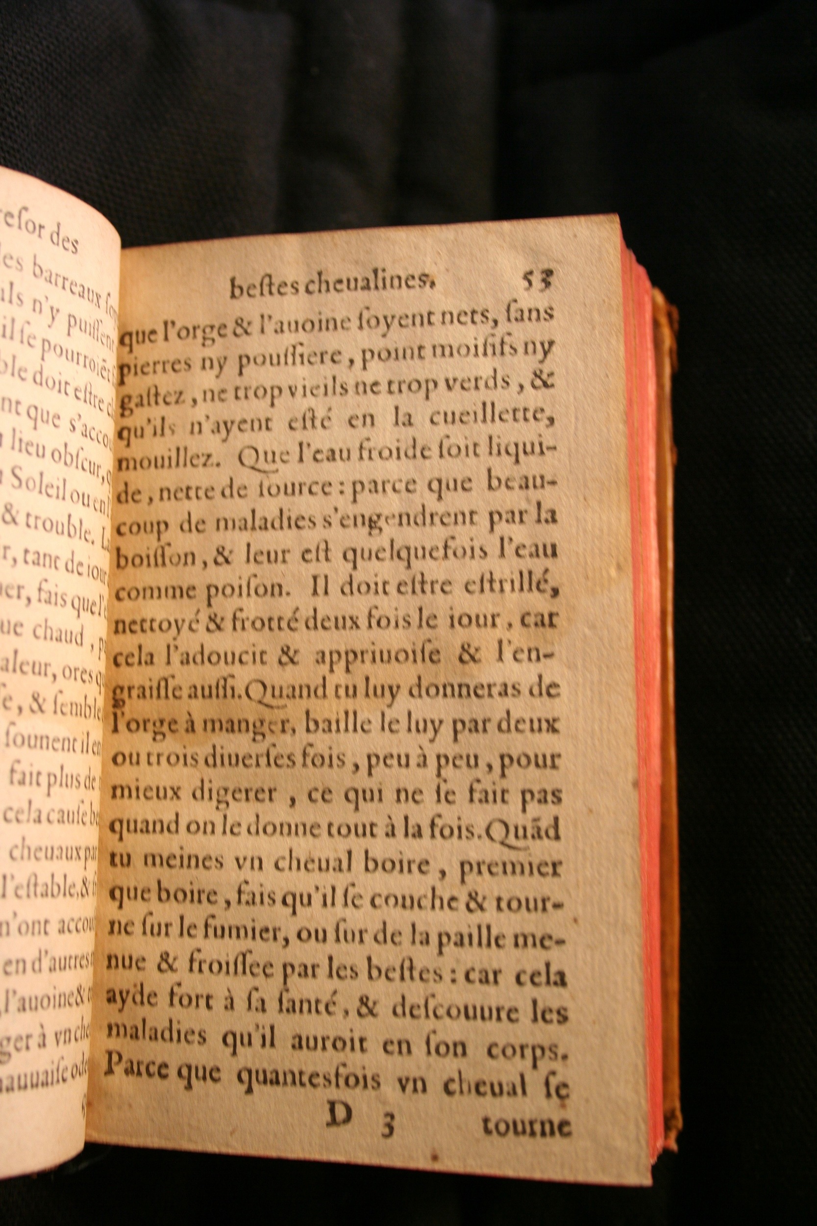 1591 - Pierre Chastaing et Benoît Rigaud - Trésor des bêtes chevalines - BM Bordeaux