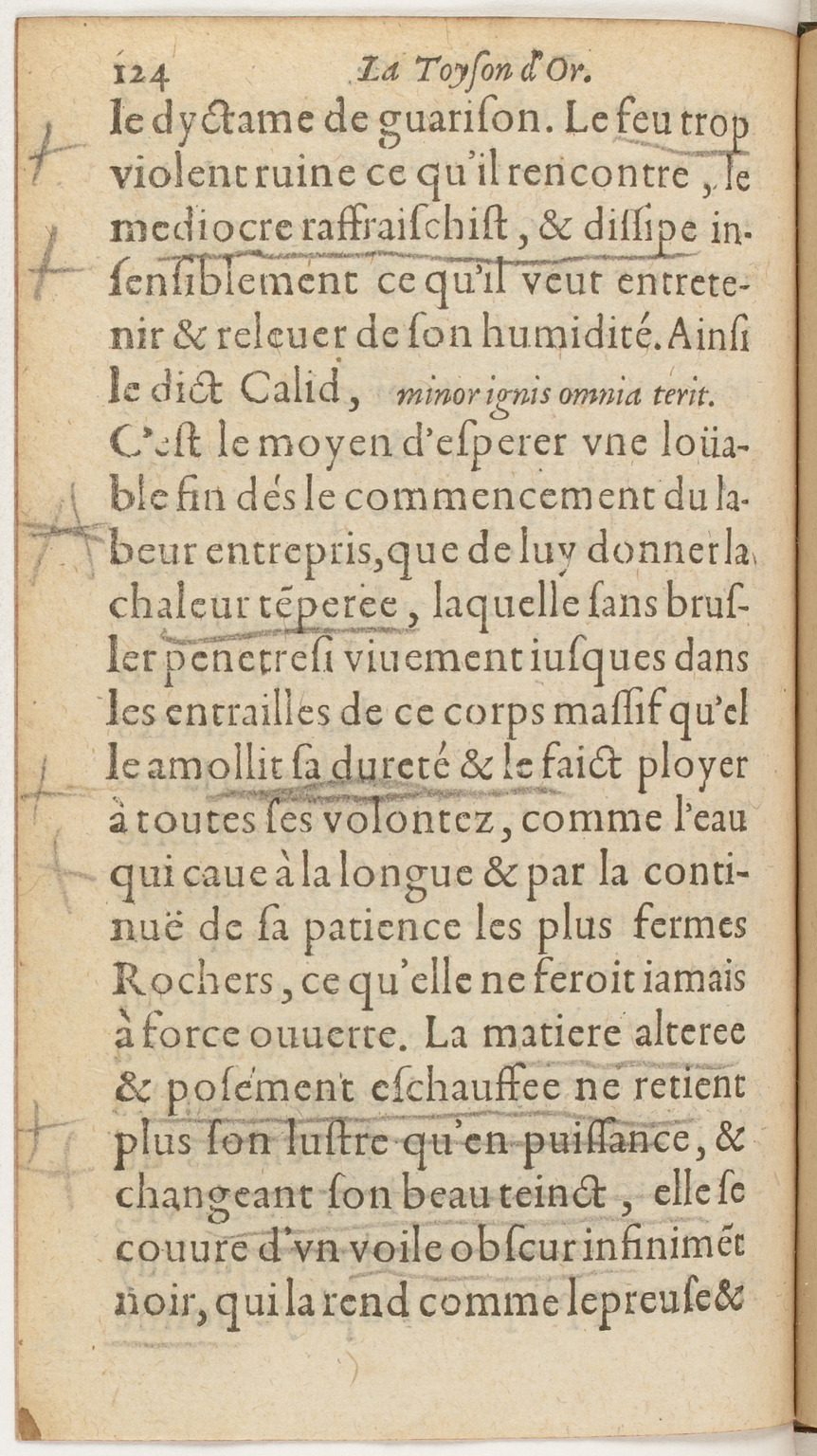1612 - Charles Sevestre - Toison d’or ou la fleur des Trésors - BnF