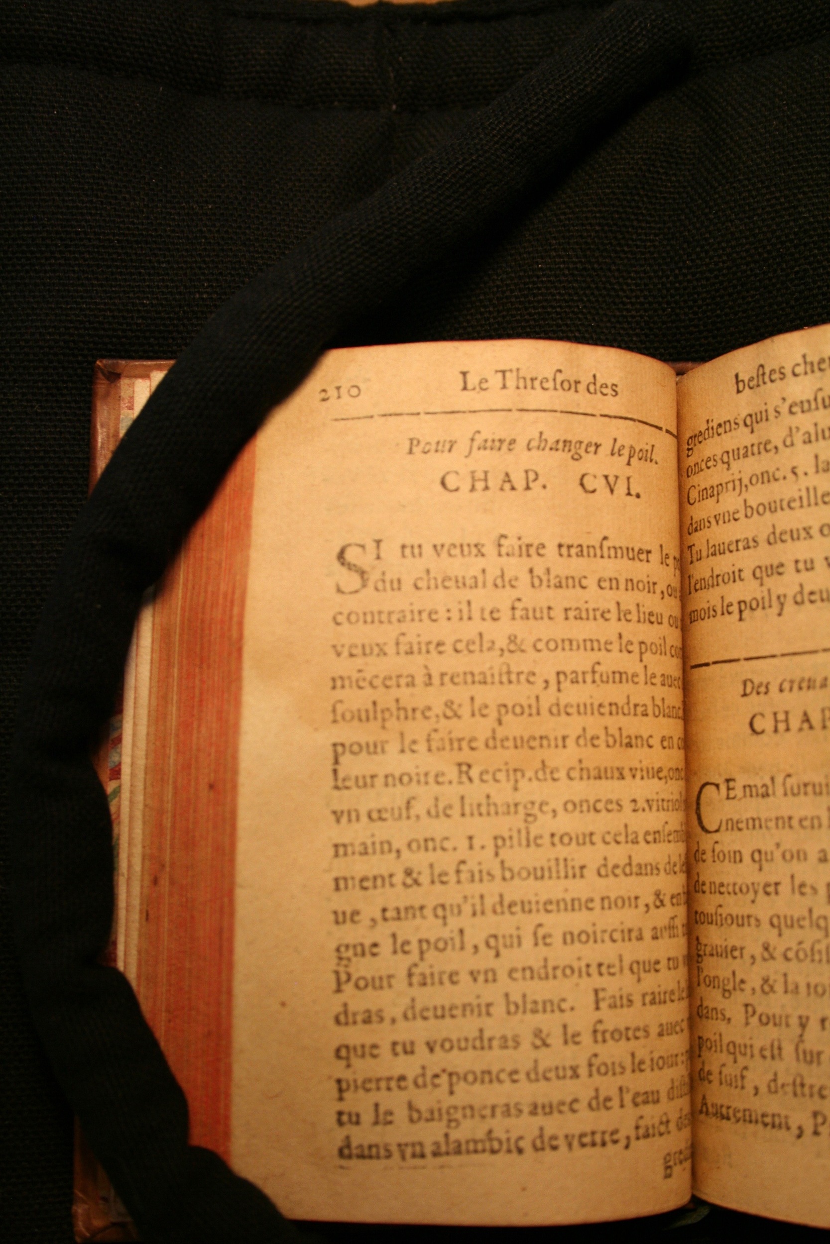 1591 - Pierre Chastaing et Benoît Rigaud - Trésor des bêtes chevalines - BM Bordeaux
