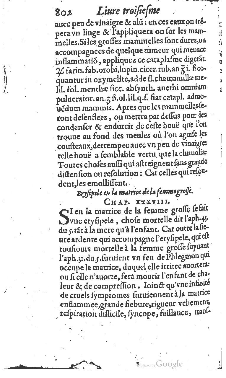 1617 - Jean Le Bouc - Trésor des remèdes secrets - BM Lyon