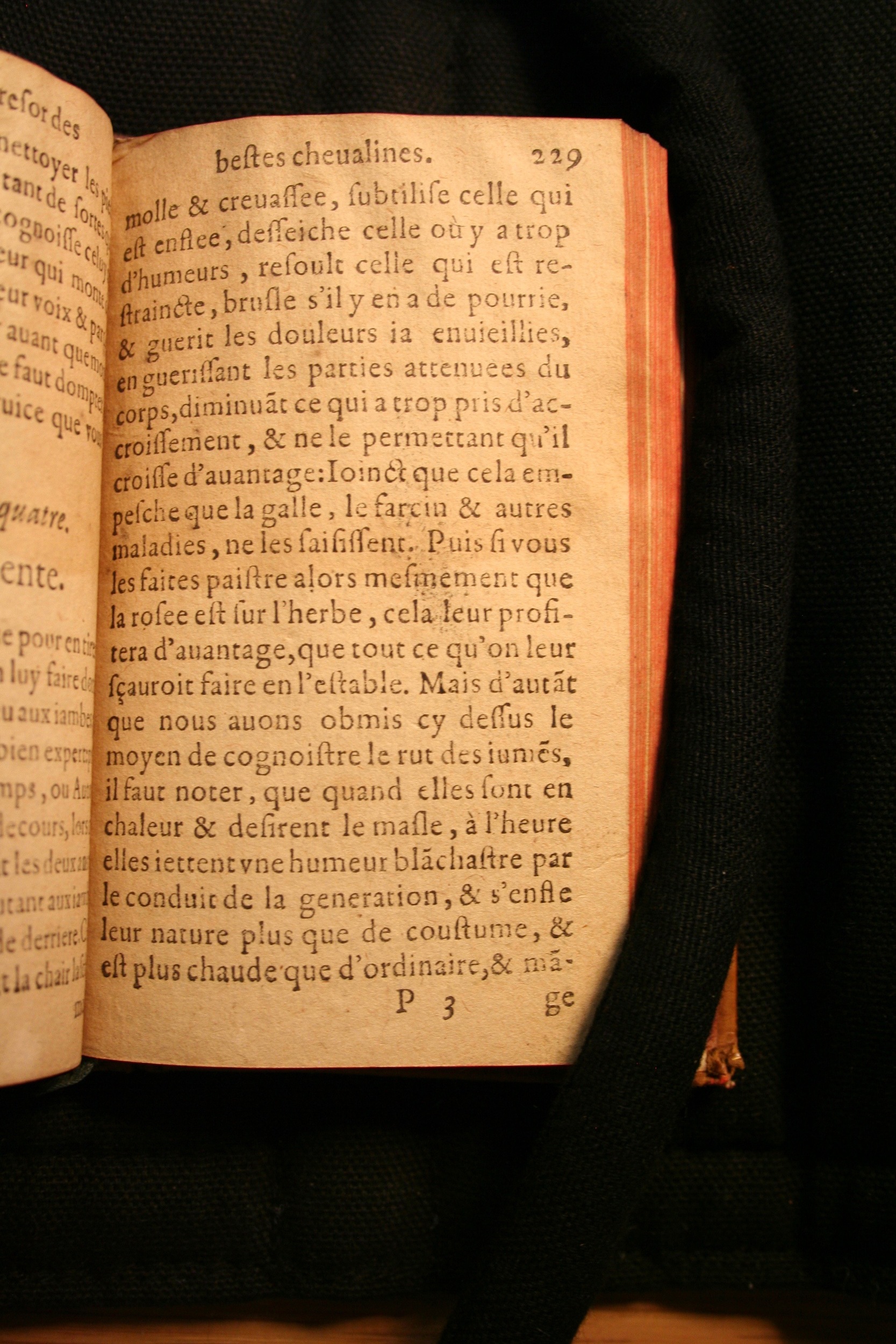 1591 - Pierre Chastaing et Benoît Rigaud - Trésor des bêtes chevalines - BM Bordeaux