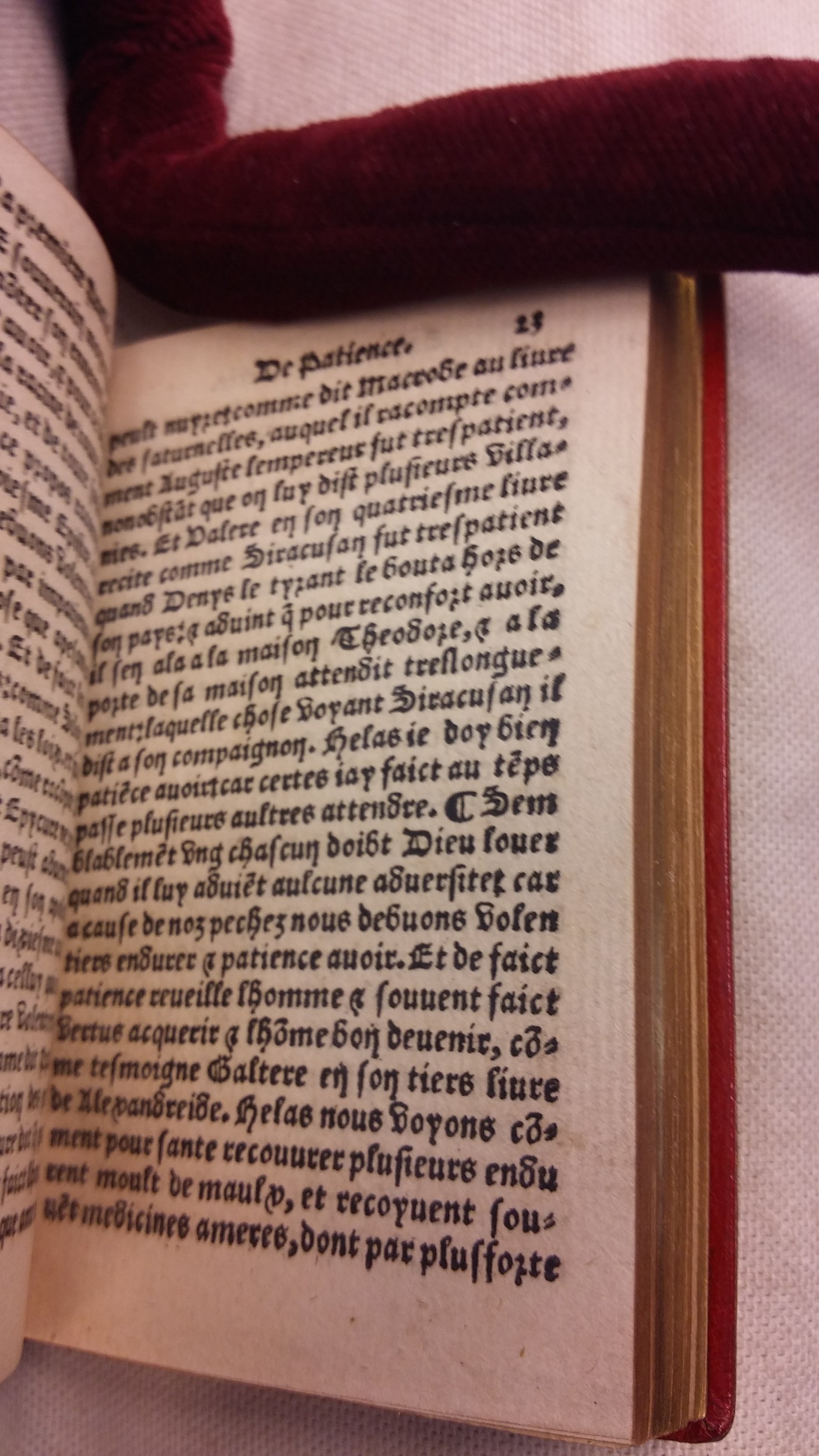 1542 - Denis de Harsy - Trésor de sapience et fleur de toute bonté - BIS