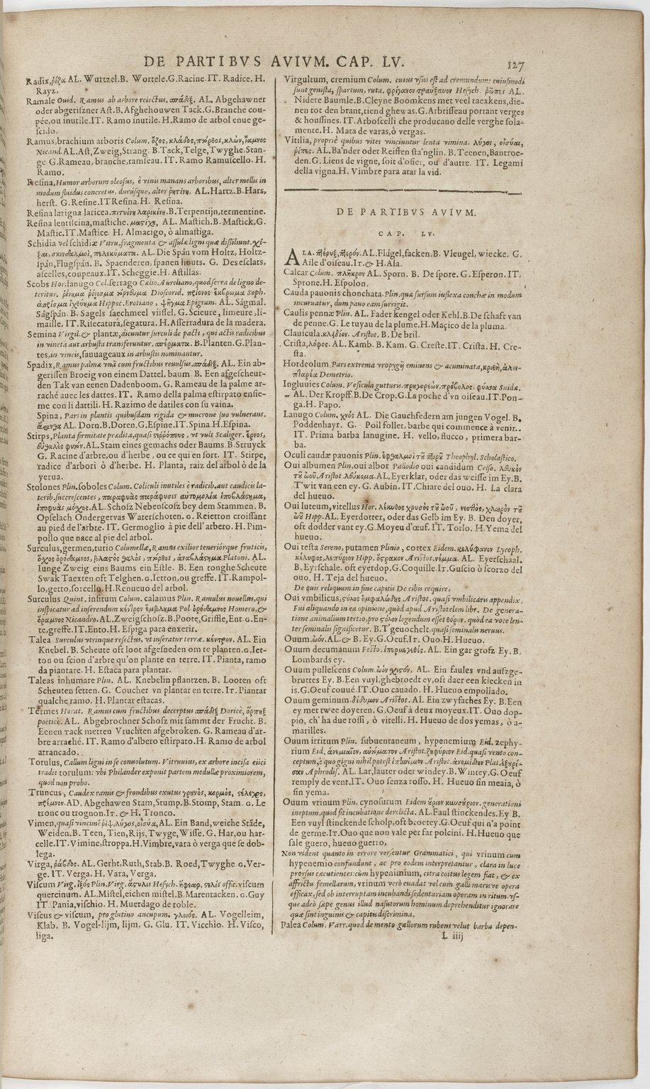 1606 - David Douceur - Trésor de la langue française - BnF