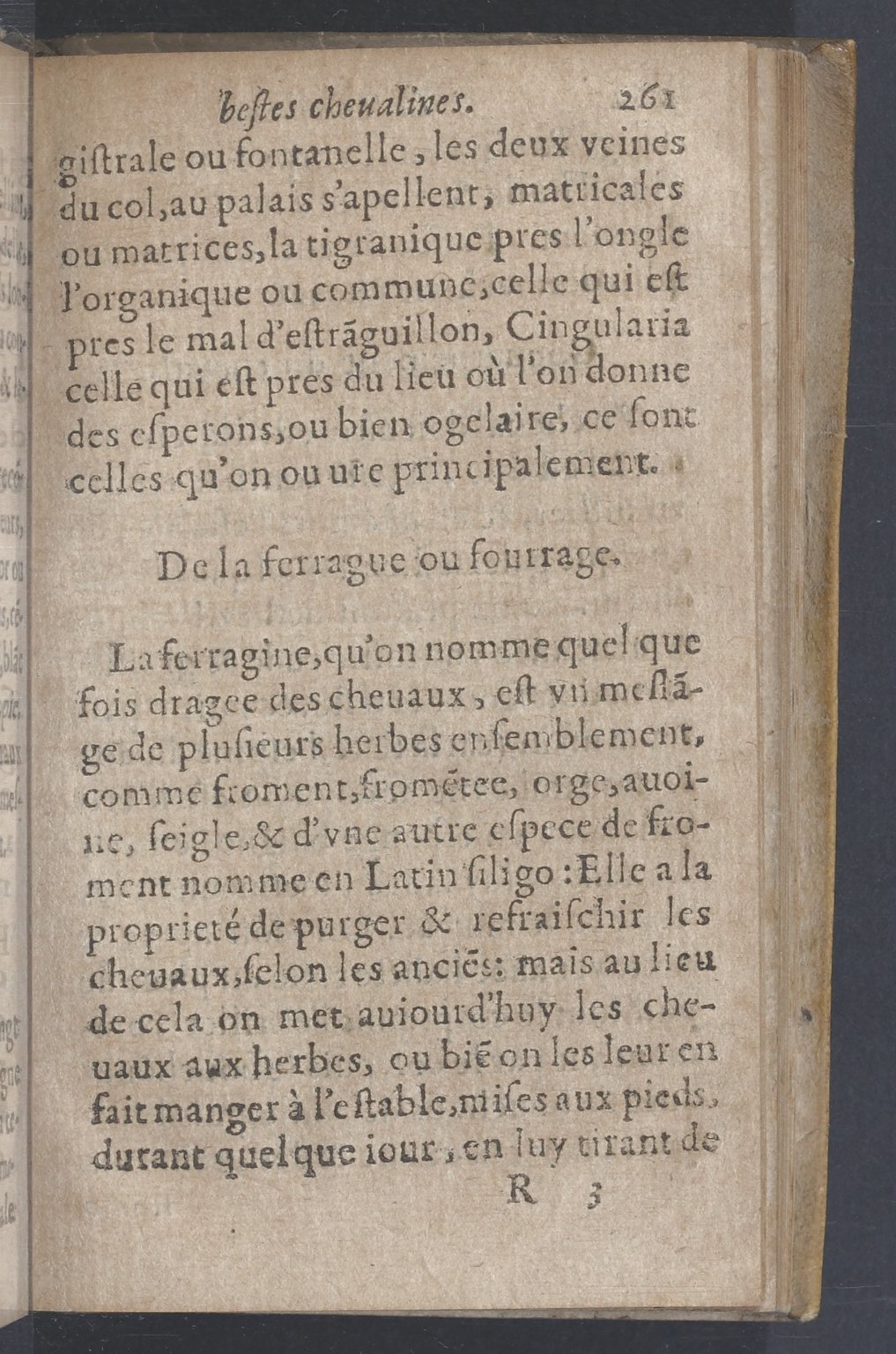 1619 - Pierre Rigaud - Trésor des bêtes chevalines - BnF