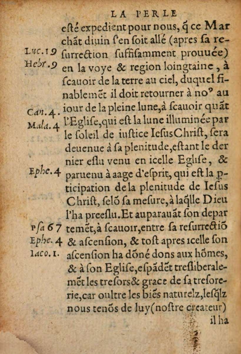1548 - René Avril et Vivant Gaulterot - Perle précieuse évangélique et Trésor divin - BSB Munich