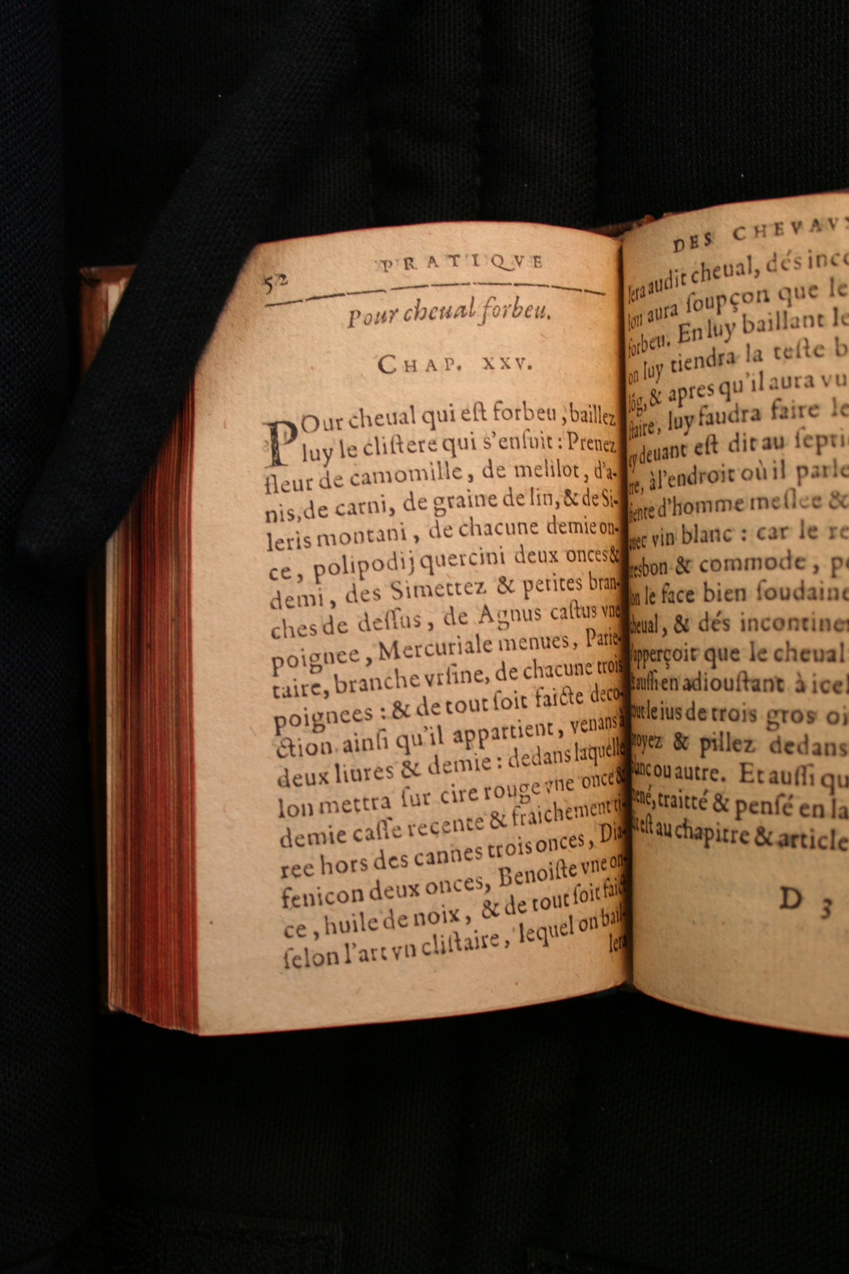 1591 - Pierre Chastaing et Benoît Rigaud - Trésor des bêtes chevalines - BM Bordeaux