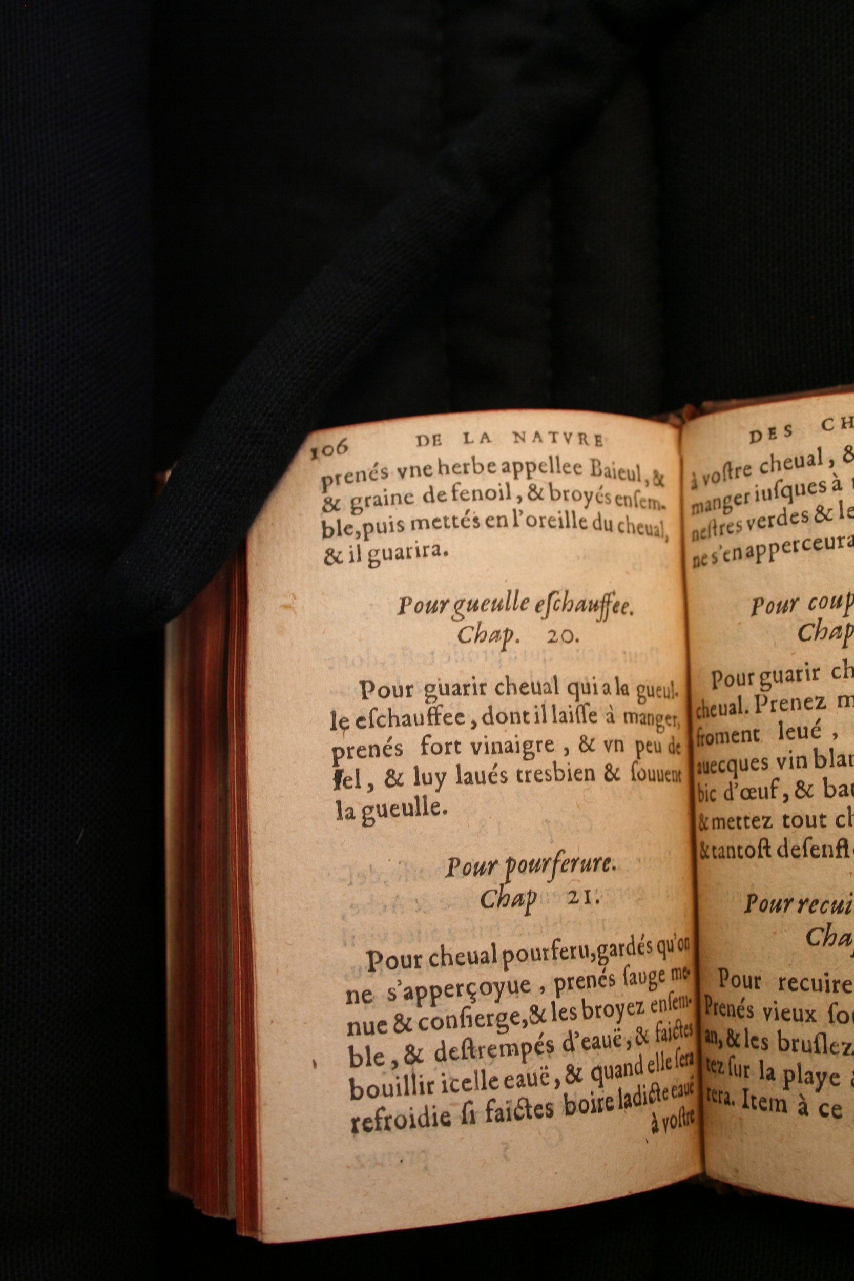1591 - Pierre Chastaing et Benoît Rigaud - Trésor des bêtes chevalines - BM Bordeaux