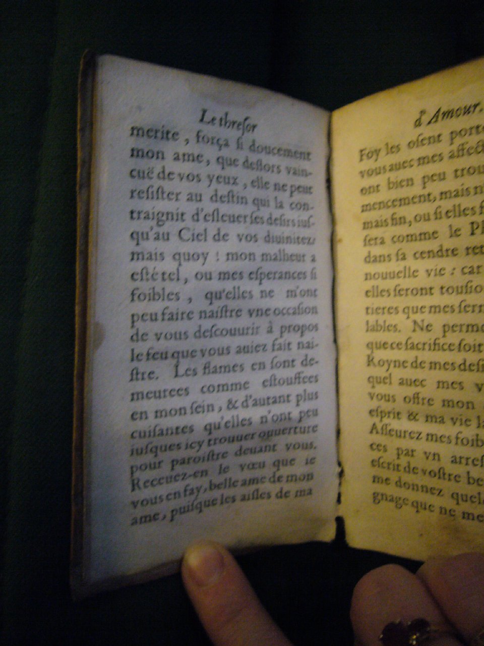 1597 - Matthieu Guillemot - Trésor d’amour - BnF Arsenal