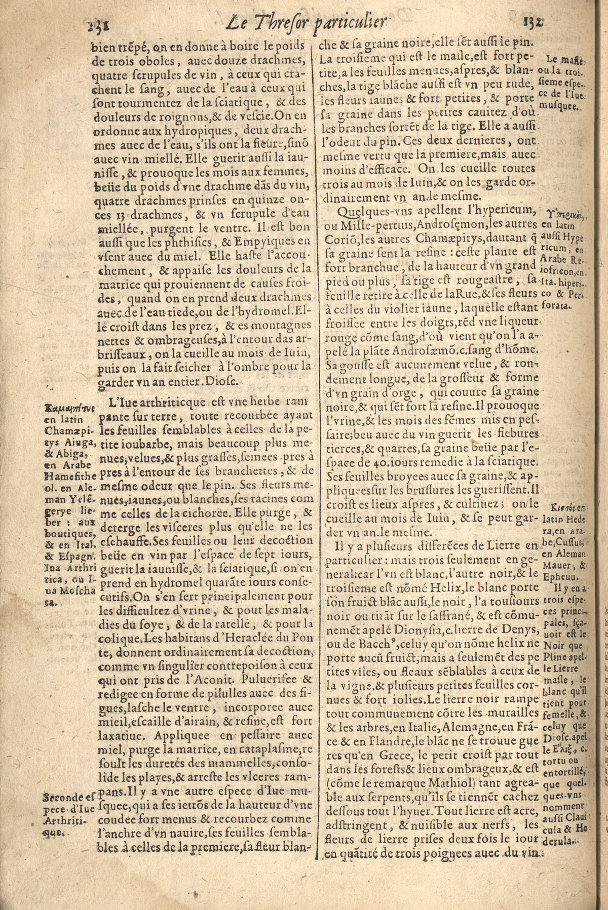 1610 - Étienne Gamonet - Grand Trésor ou dispensaire - CESR Tours