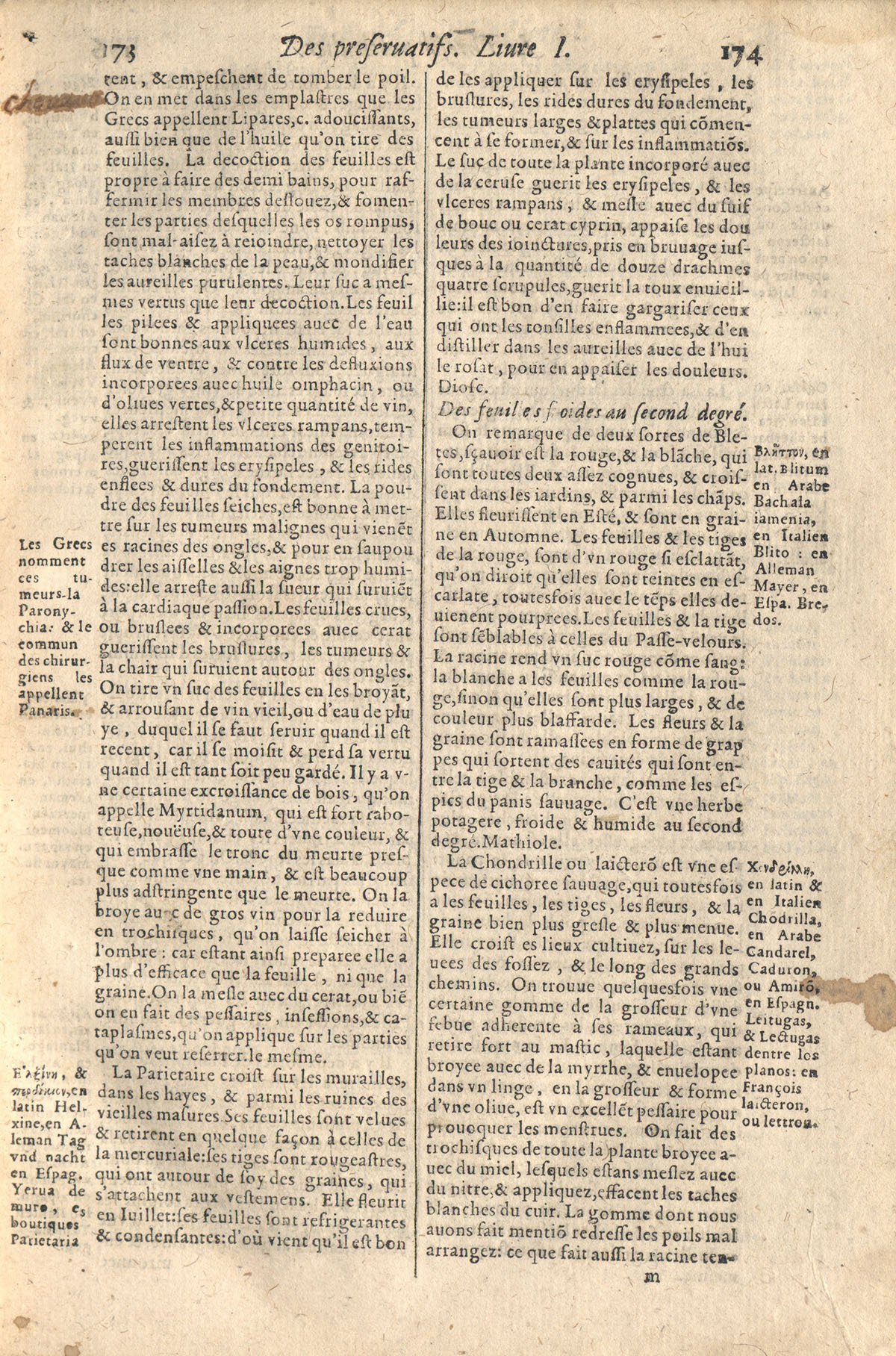 1610 - Étienne Gamonet - Grand Trésor ou dispensaire - CESR Tours 1610 - Étienne Gamonet - Grand Trésor ou dispensaire - CESR Tours