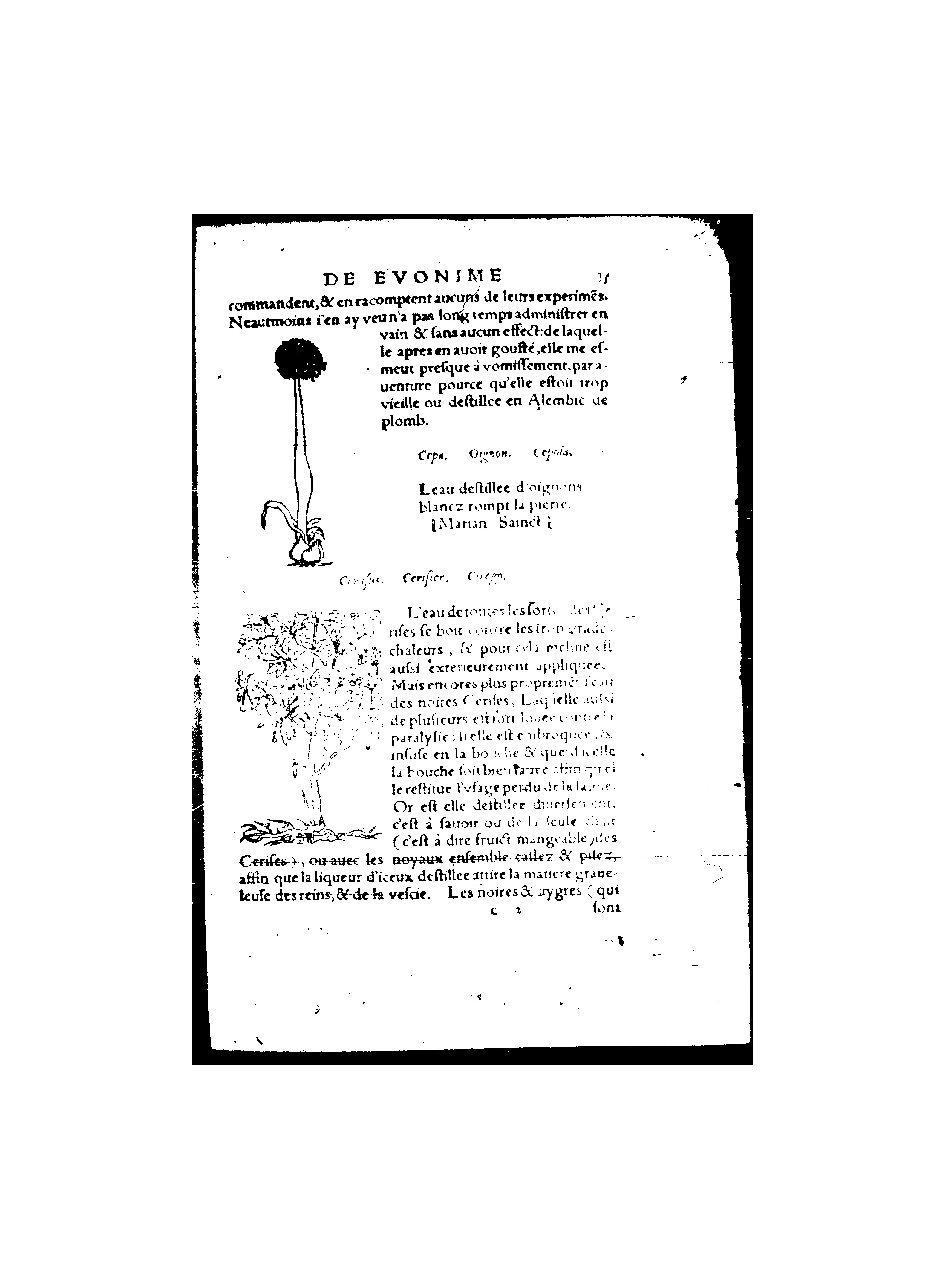 1555 - Balthazar Arnoullet - Trésor d’Évonyme Philiatre - BnF