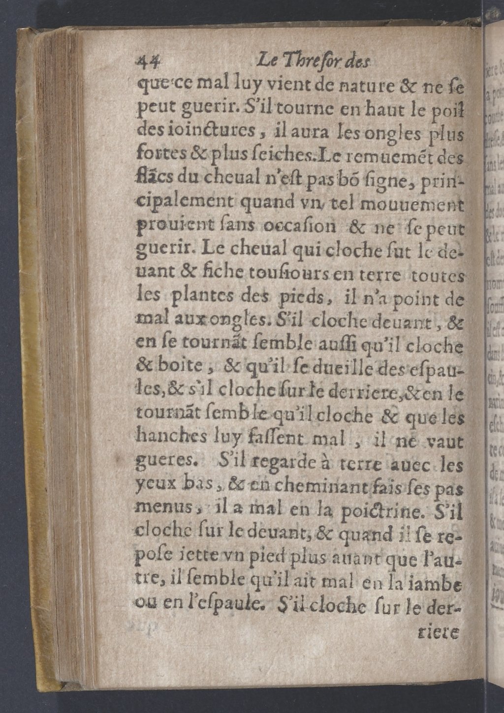 1619 - Pierre Rigaud - Trésor des bêtes chevalines - BnF 1619 - Pierre Rigaud - Trésor des bêtes chevalines - BnF