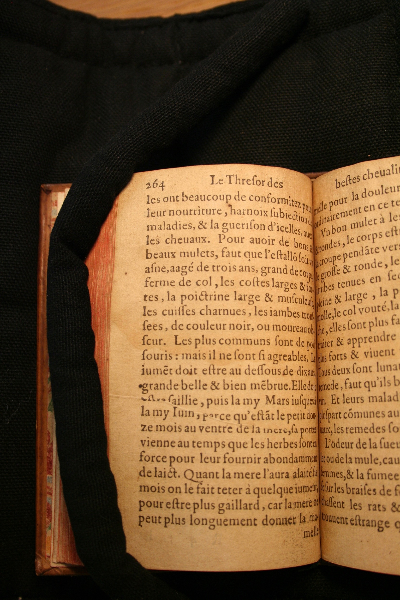1591 - Pierre Chastaing et Benoît Rigaud - Trésor des bêtes chevalines - BM Bordeaux
