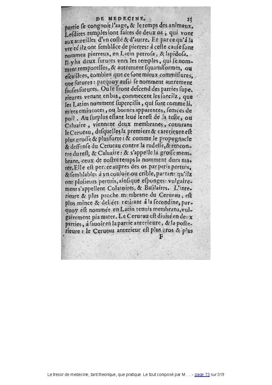1560 - Pierre et Jan Moine - Trésor de médecine - Université Paris Cité
