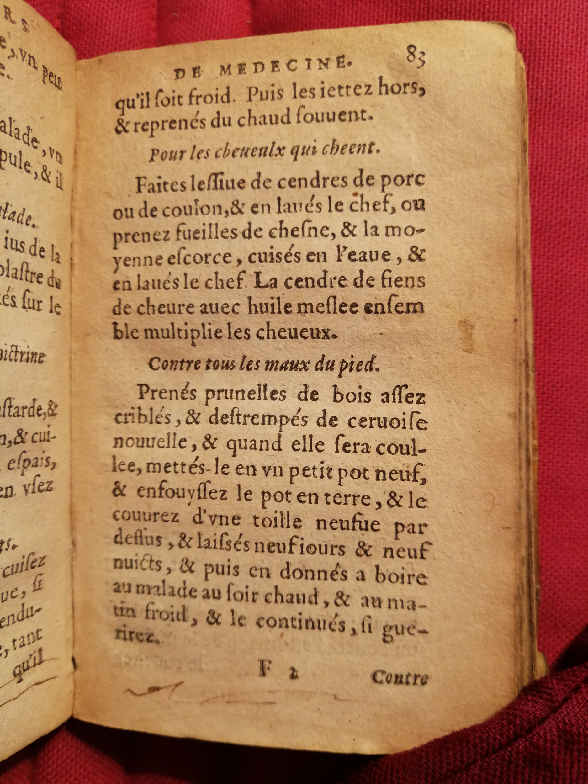 1586 - Benoît Rigaud - Trésor des fleurs et secrets de médecine - Sainte-Geneviève