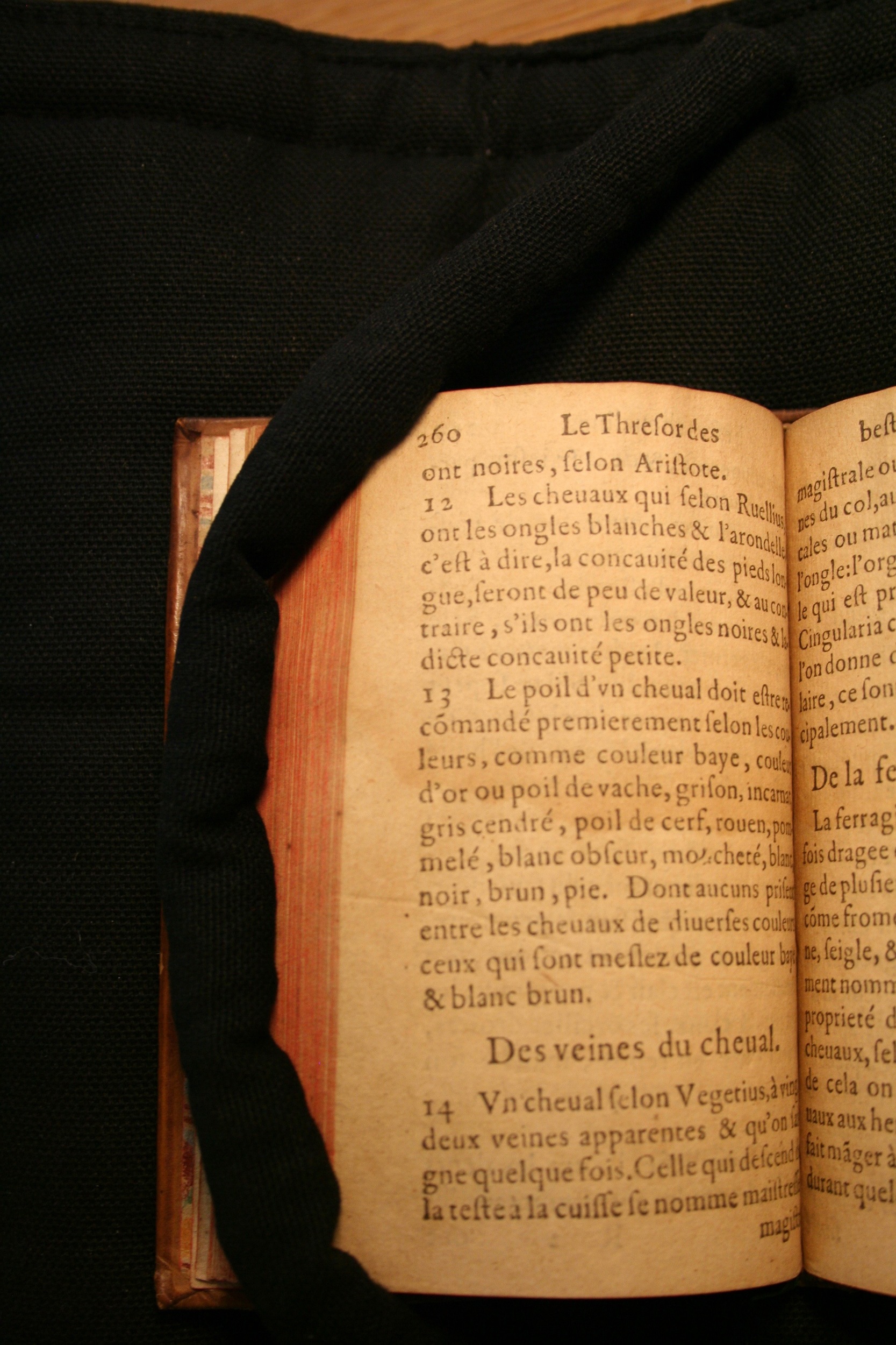 1591 - Pierre Chastaing et Benoît Rigaud - Trésor des bêtes chevalines - BM Bordeaux