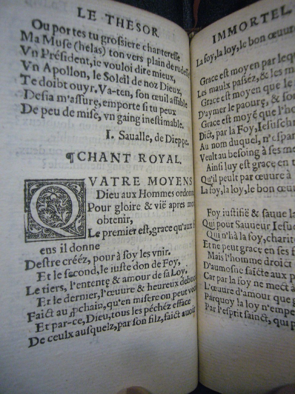 1556 - Nicolas Aubin et Martin le Mesgissier  - Trésor immortel - Versailles