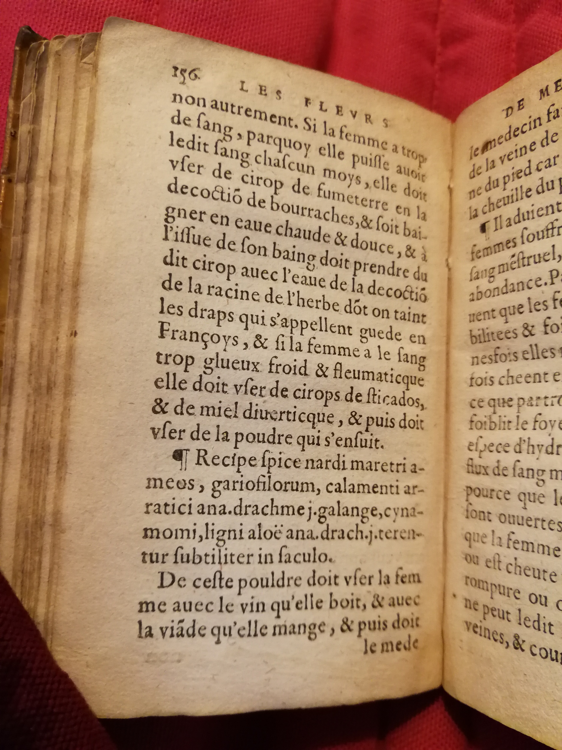 1586 - Benoît Rigaud - Trésor des fleurs et secrets de médecine - Sainte-Geneviève