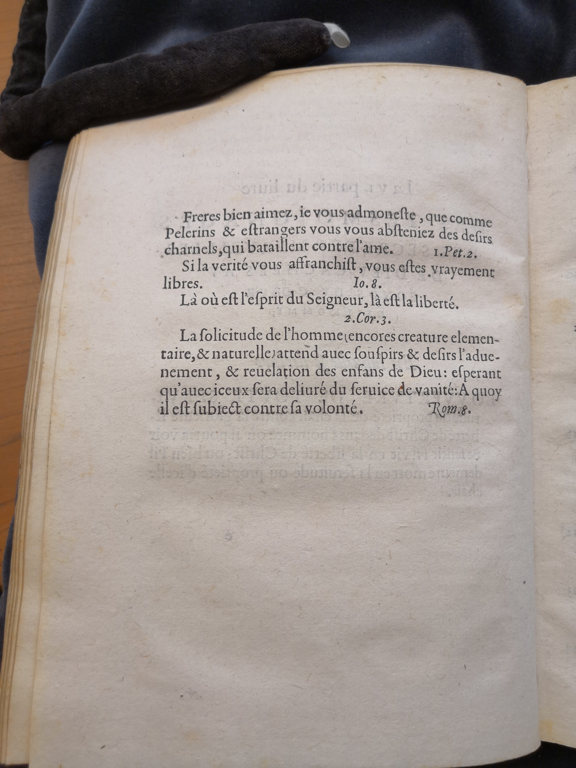 1581c. - Christophe Plantin - Le Livre des témoignages du Trésor caché au champ (Livres 2, 4, 6 et 7) - Anvers Musée Plantin Moretus