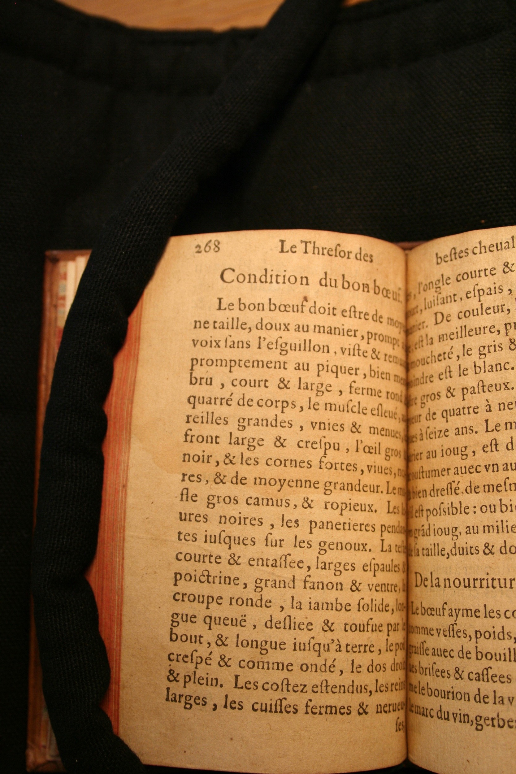 1591 - Pierre Chastaing et Benoît Rigaud - Trésor des bêtes chevalines - BM Bordeaux