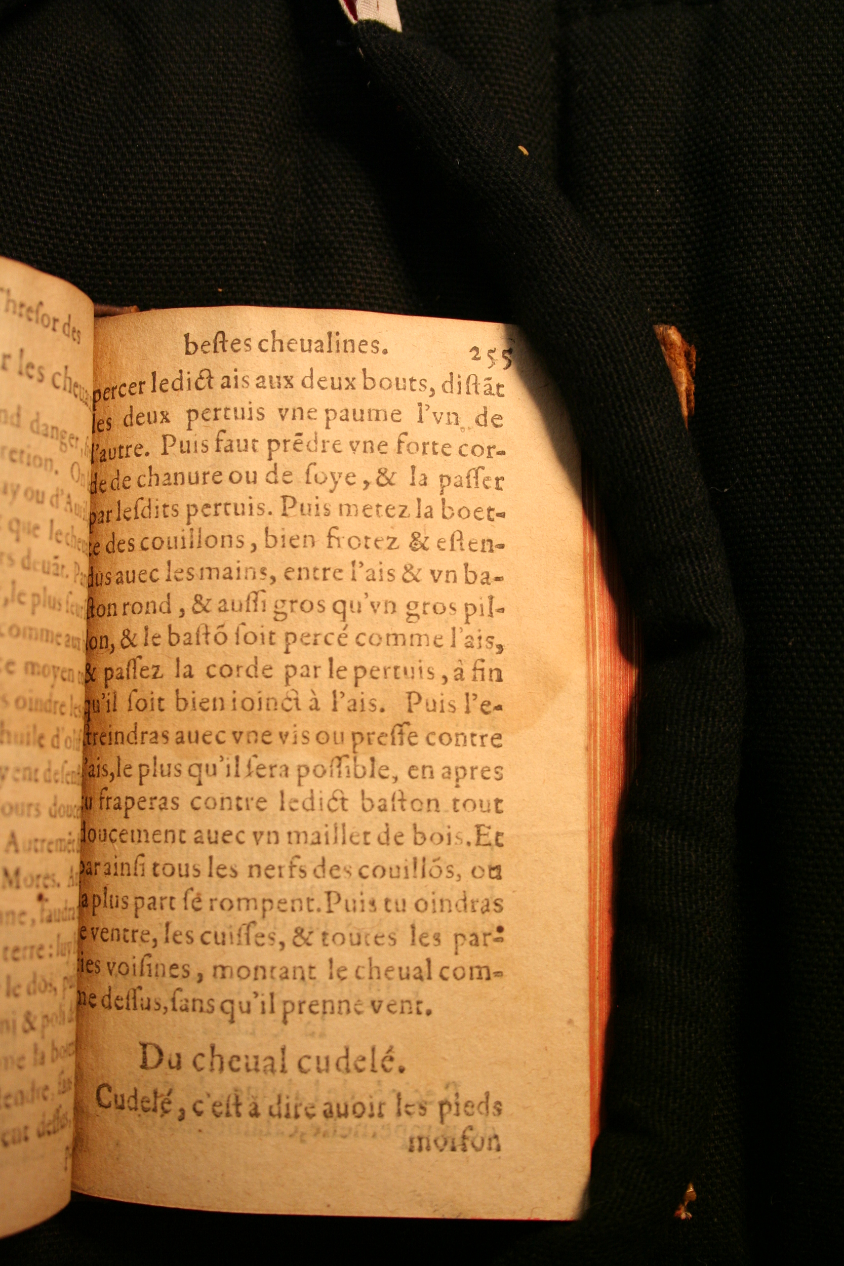 1591 - Pierre Chastaing et Benoît Rigaud - Trésor des bêtes chevalines - BM Bordeaux 1591 - Pierre Chastaing et Benoît Rigaud - Trésor des bêtes chevalines - BM Bordeaux