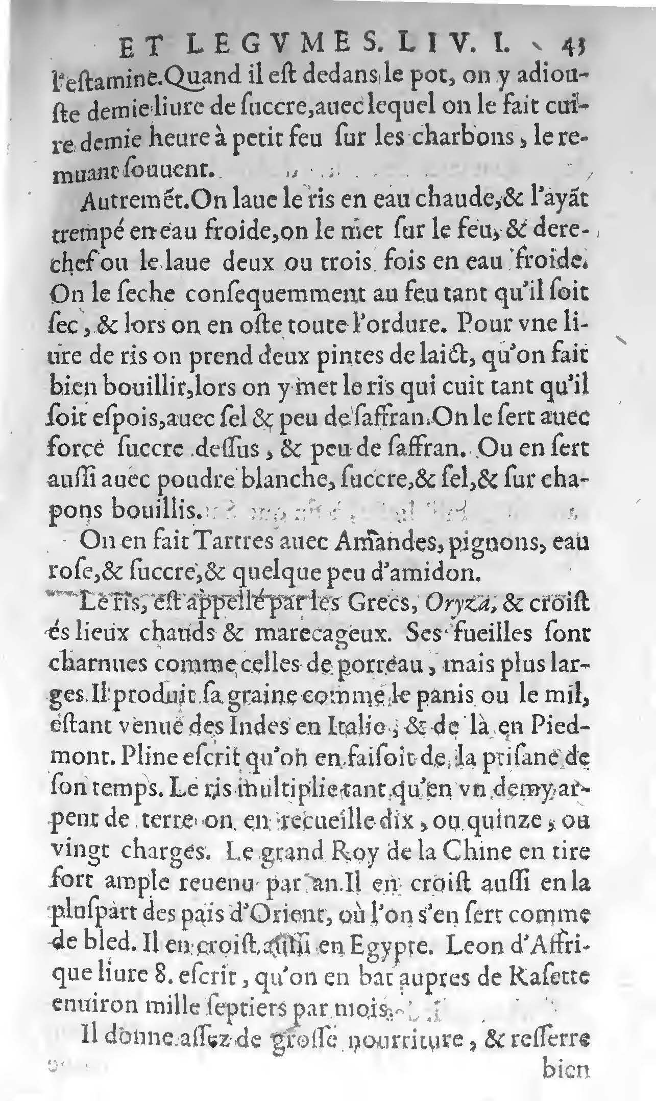 1607 - Étienne Servain et Jean Antoine Huguetan - Trésor de santé ou ménage de la vie humaine - BIU Santé
