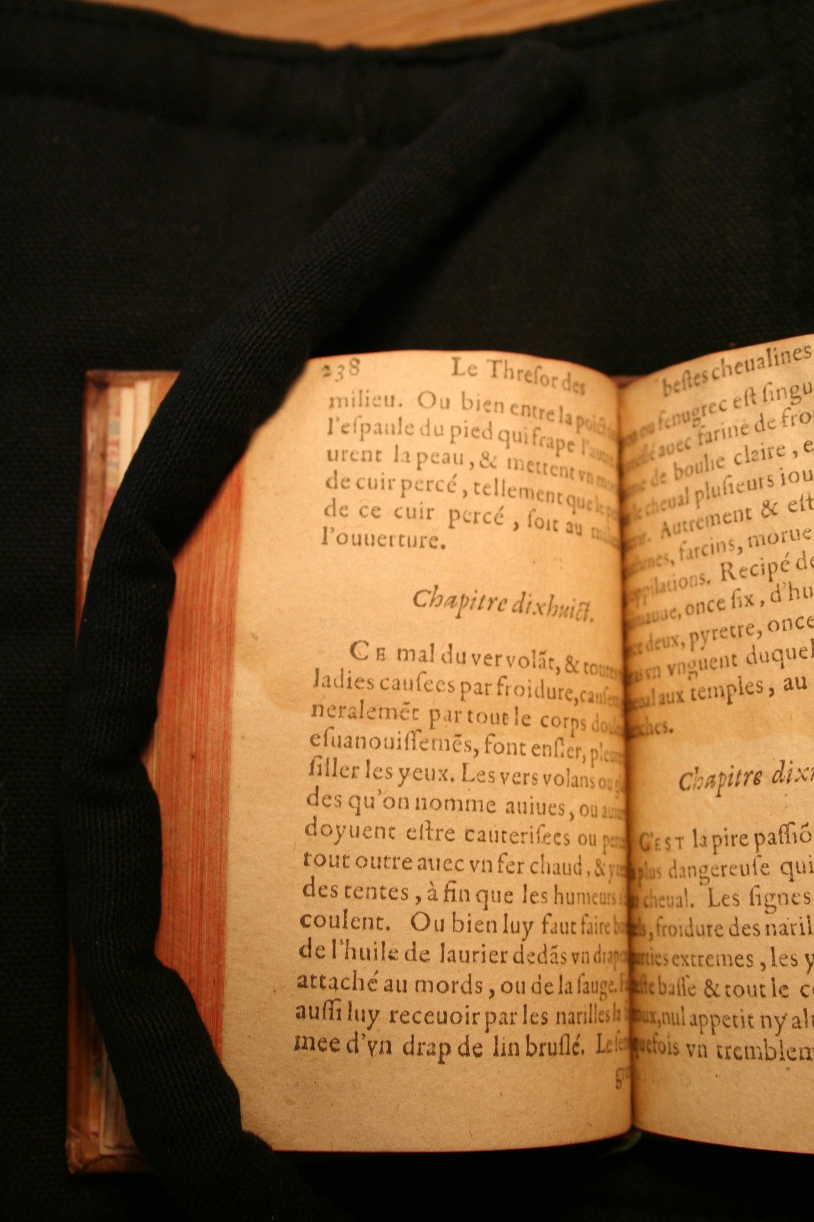 1591 - Pierre Chastaing et Benoît Rigaud - Trésor des bêtes chevalines - BM Bordeaux