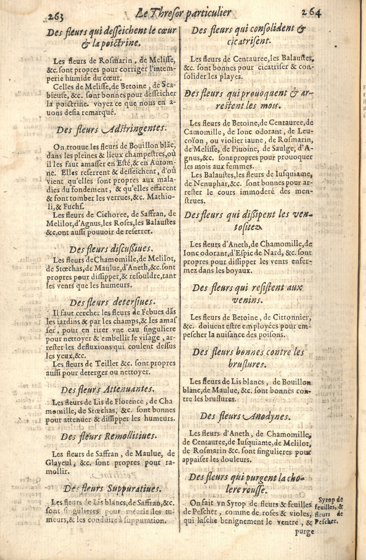 1610 - Étienne Gamonet - Grand Trésor ou dispensaire - CESR Tours