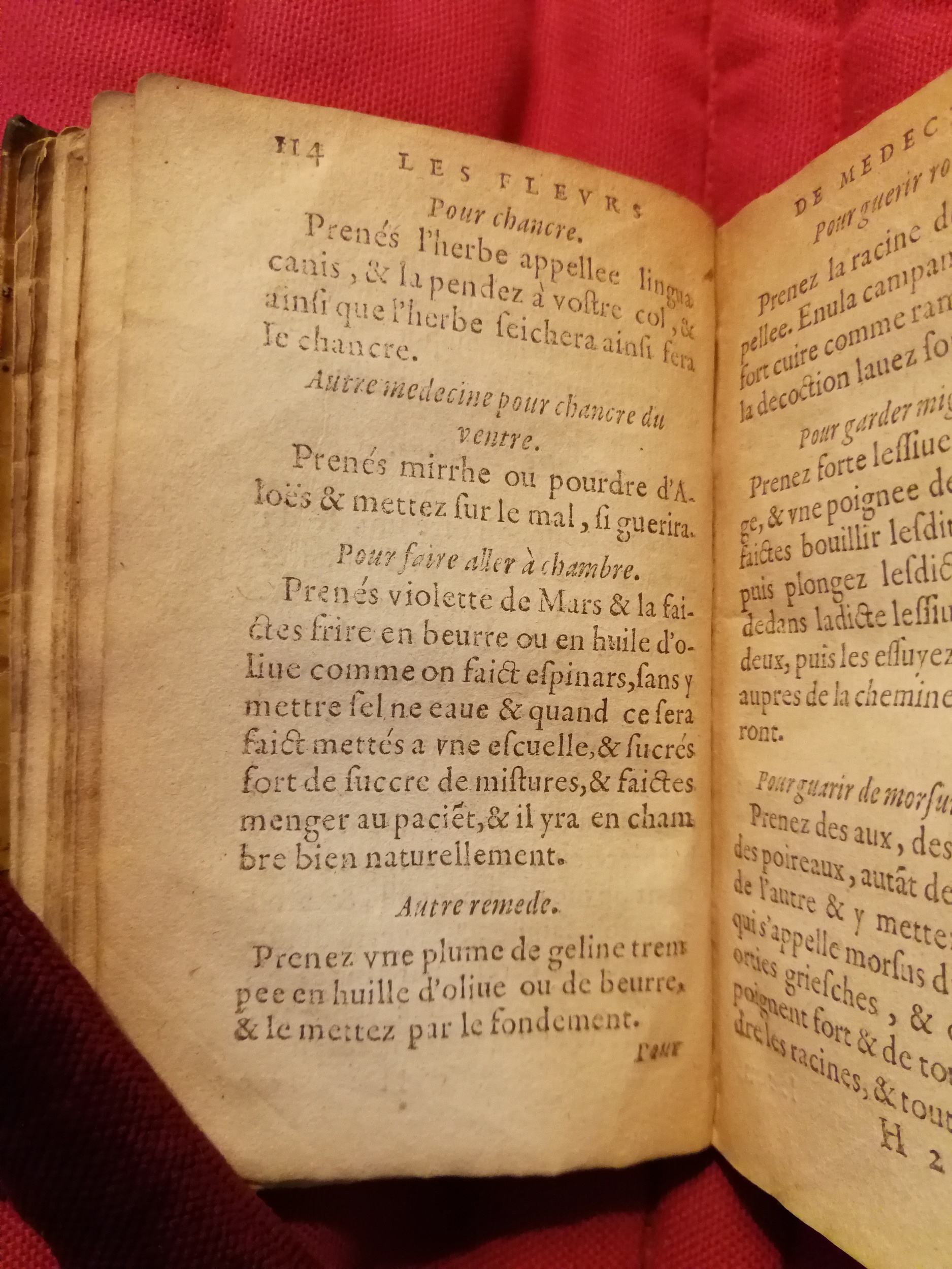 1586 - Benoît Rigaud - Trésor des fleurs et secrets de médecine - Sainte-Geneviève