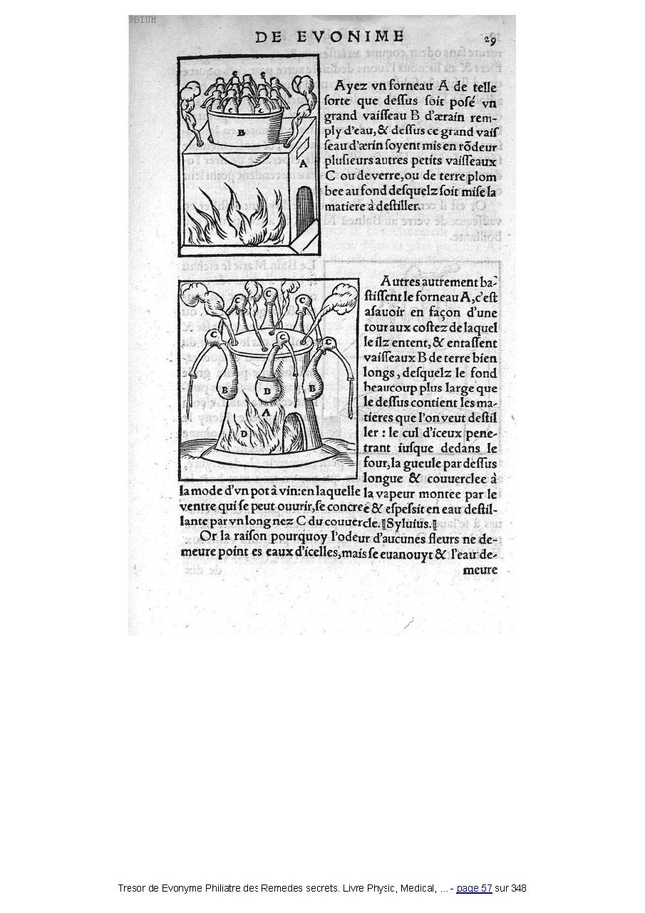 1555 - Balthazar Arnoullet - Trésor d’Évonyme Philiatre - Université Paris Cité