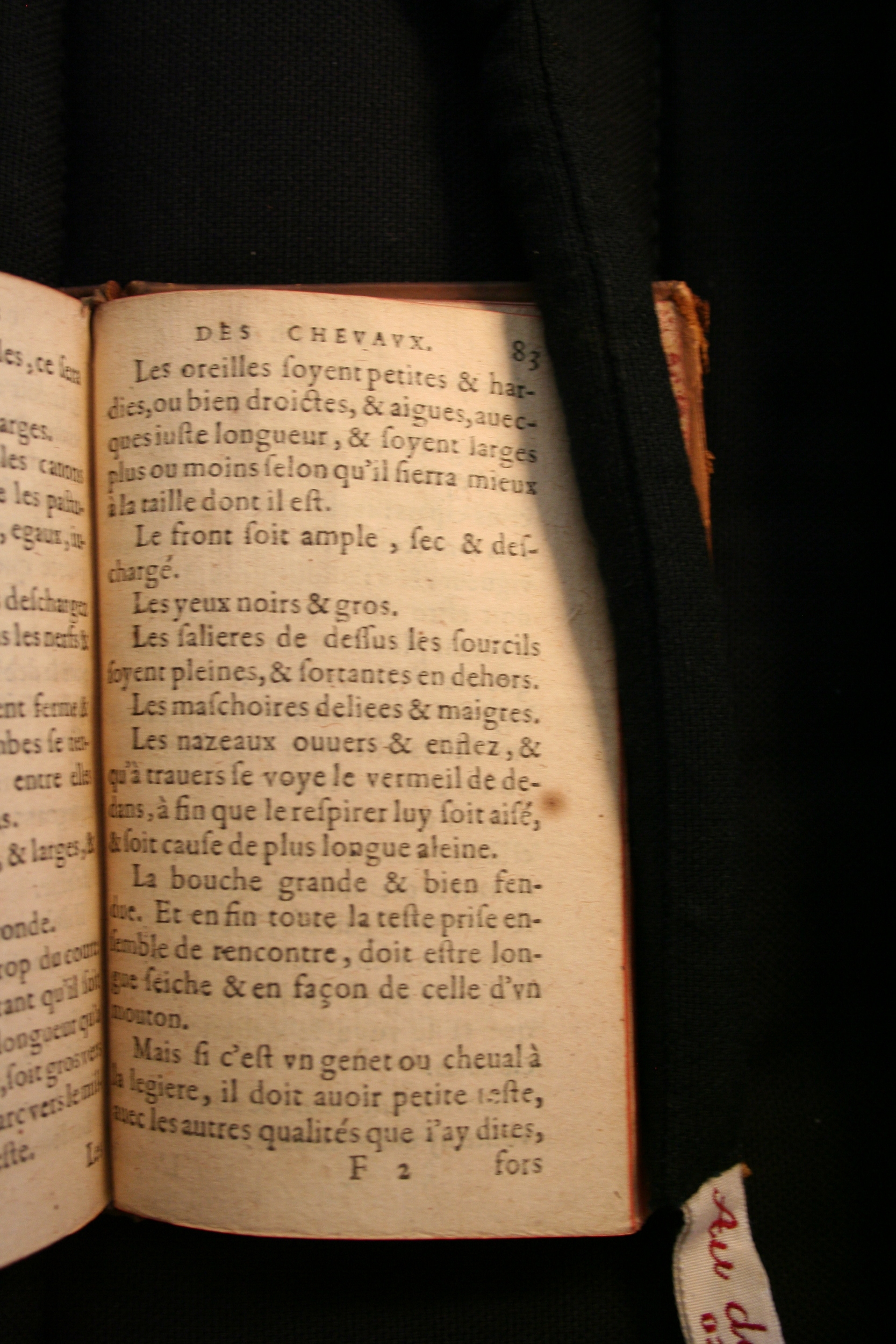 1591 - Pierre Chastaing et Benoît Rigaud - Trésor des bêtes chevalines - BM Bordeaux