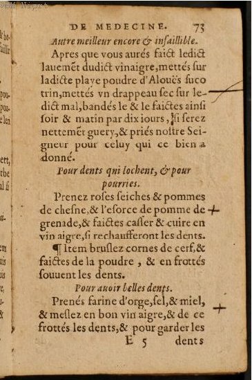 1586 - Benoît Rigaud - Trésor des fleurs et secrets de médecine - Université Paris Cité