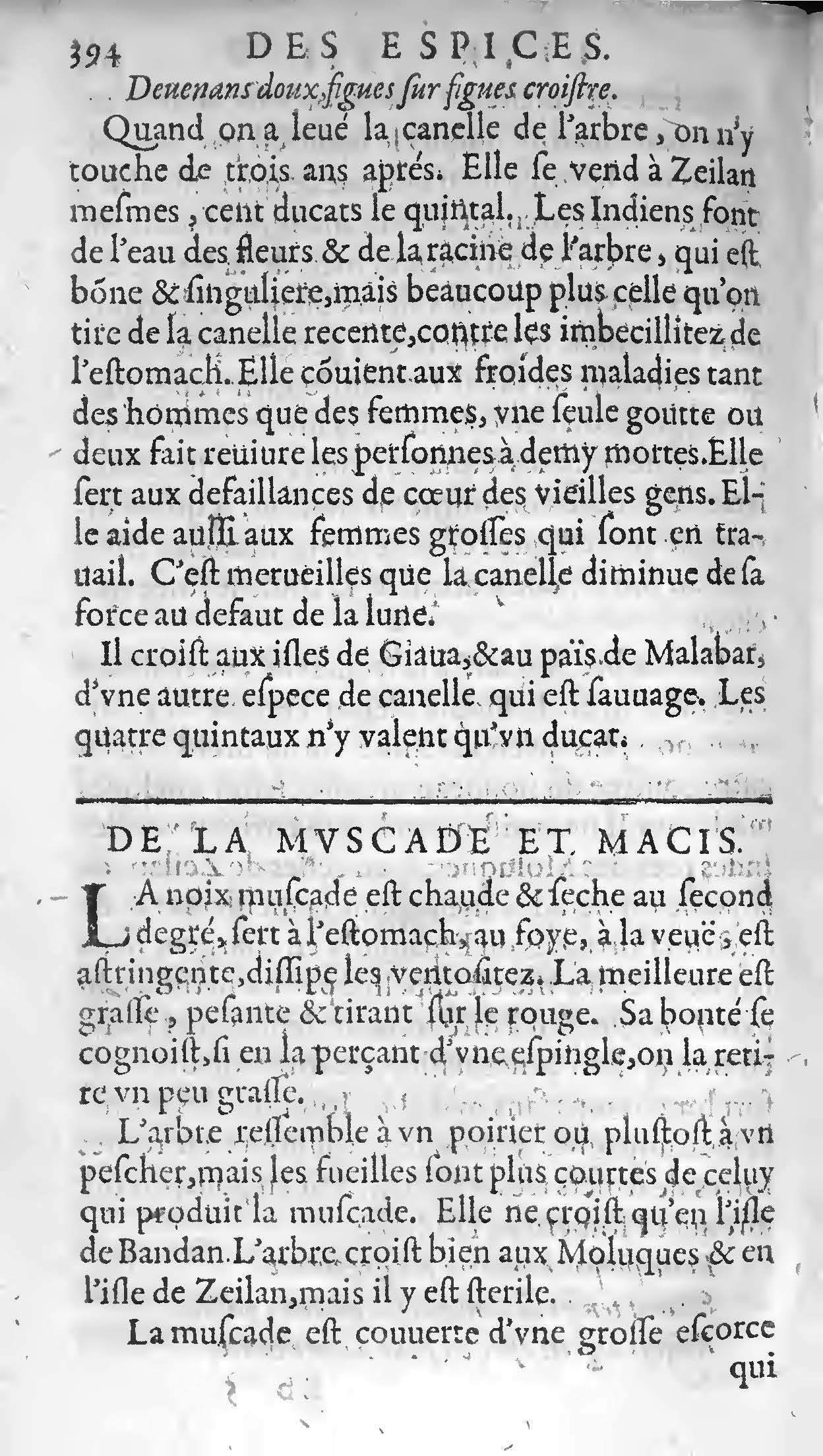 1607 - Étienne Servain et Jean Antoine Huguetan - Trésor de santé ou ménage de la vie humaine - BIU Santé