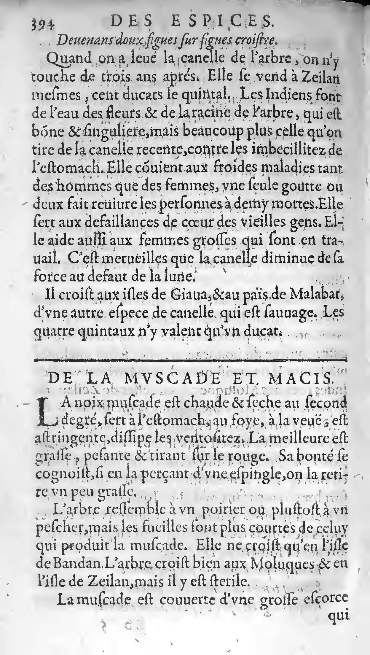 1607 Étienne Servain et Jean Antoine Huguetan - Trésor de santé ou ménage de la vie humaine - BIU Santé_Page_414.jpg