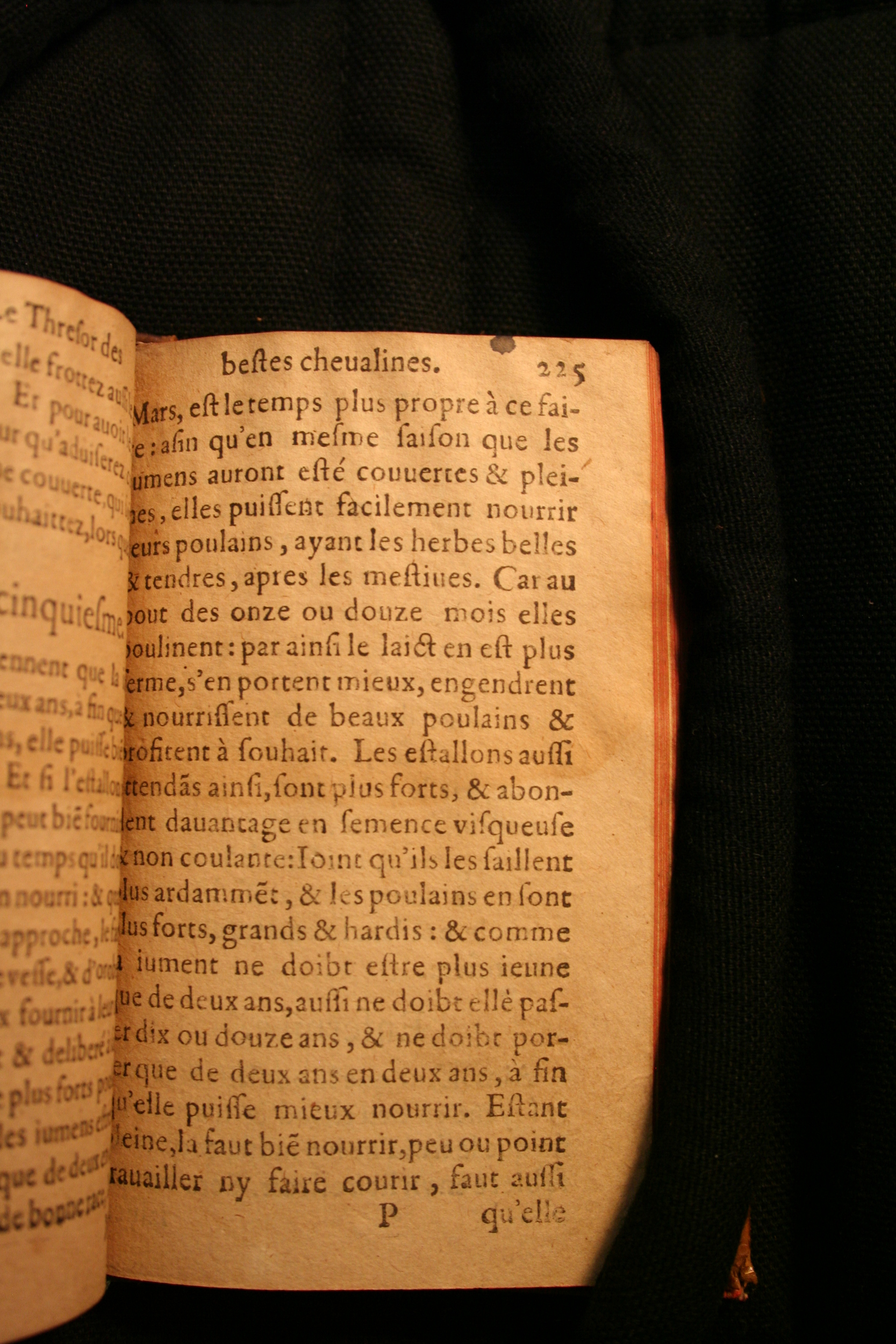 1591 - Pierre Chastaing et Benoît Rigaud - Trésor des bêtes chevalines - BM Bordeaux