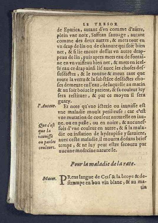 1590 - Benoît Rigaud - Trésor des pauvres - Mucem 1590 - Benoît Rigaud - Trésor des pauvres - Mucem