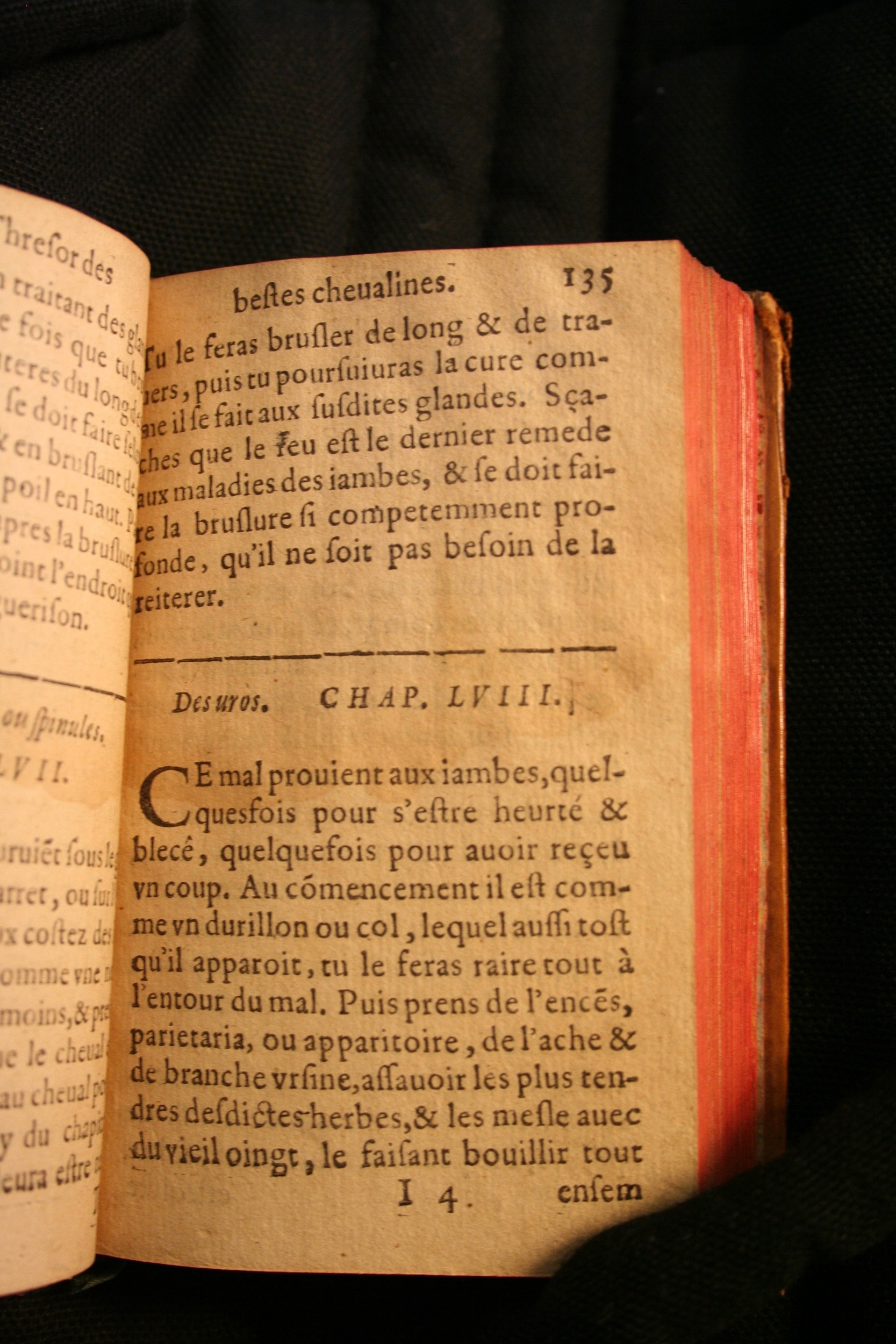 1591 - Pierre Chastaing et Benoît Rigaud - Trésor des bêtes chevalines - BM Bordeaux