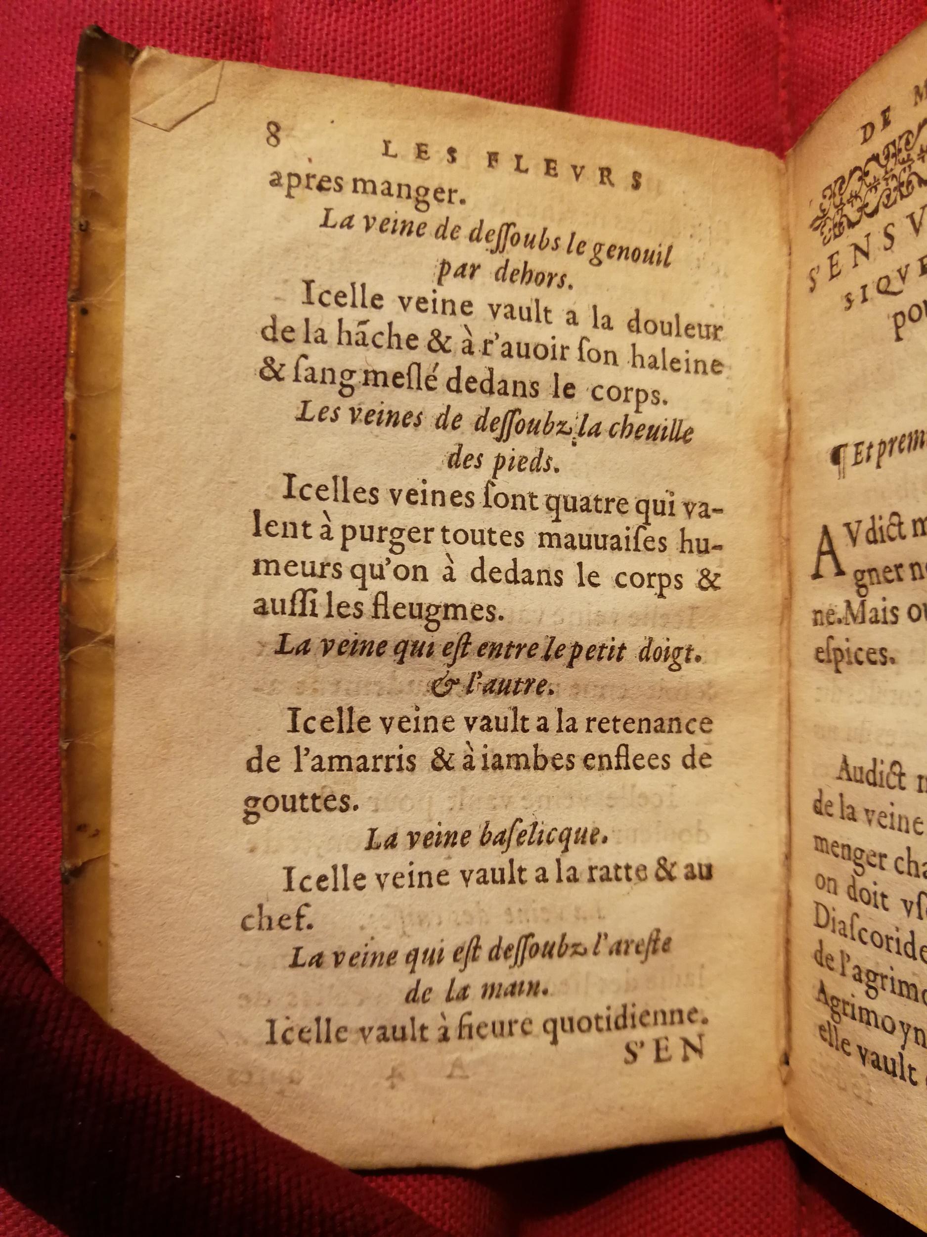 1586 - Benoît Rigaud - Trésor des fleurs et secrets de médecine - Sainte-Geneviève