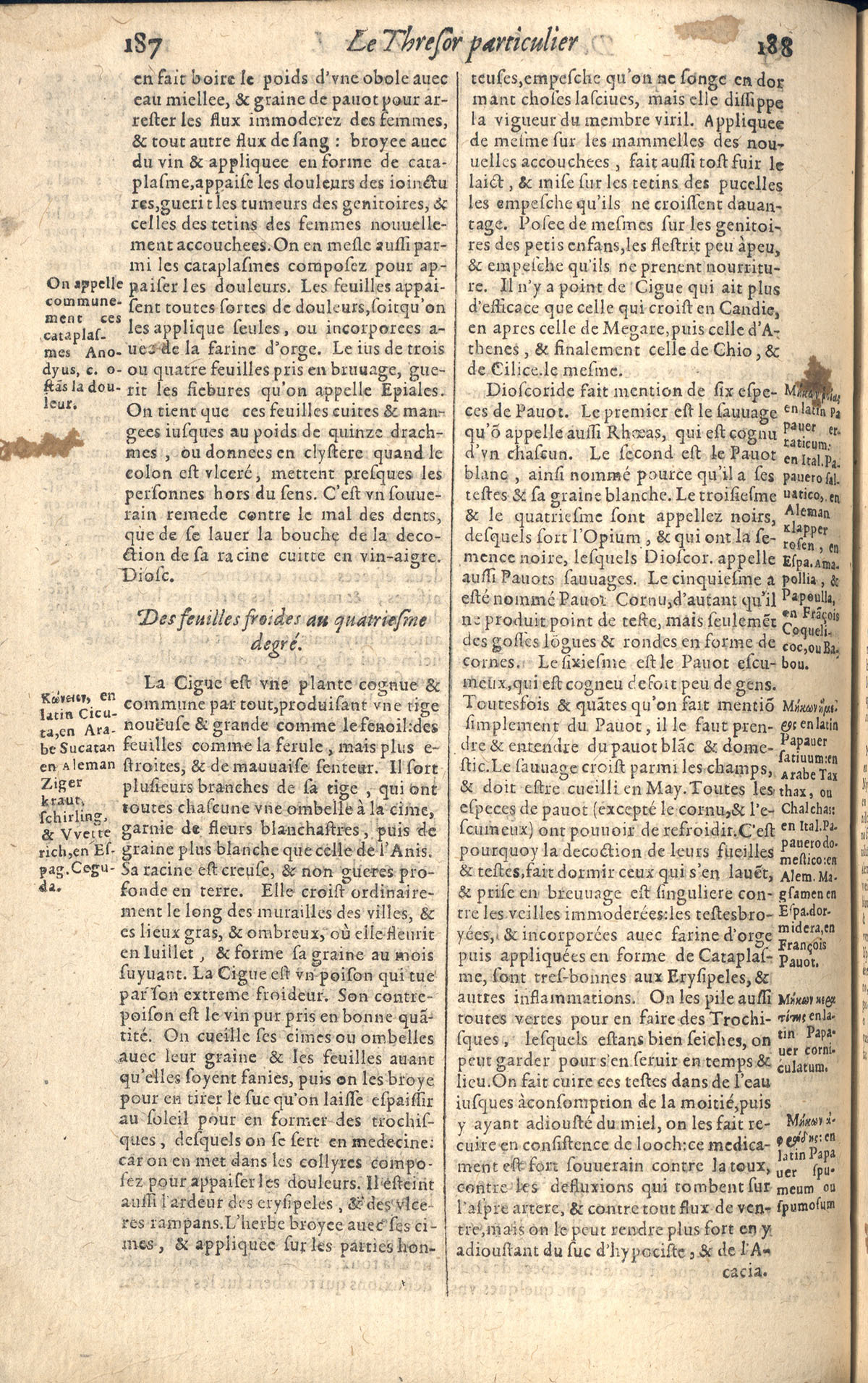1610 - Étienne Gamonet - Grand Trésor ou dispensaire - CESR Tours