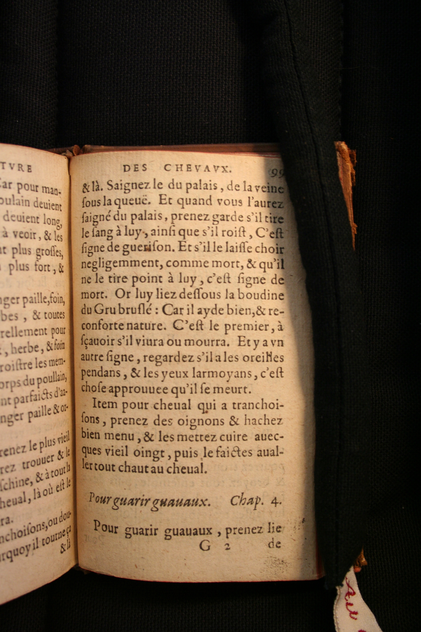 1591 - Pierre Chastaing et Benoît Rigaud - Trésor des bêtes chevalines - BM Bordeaux