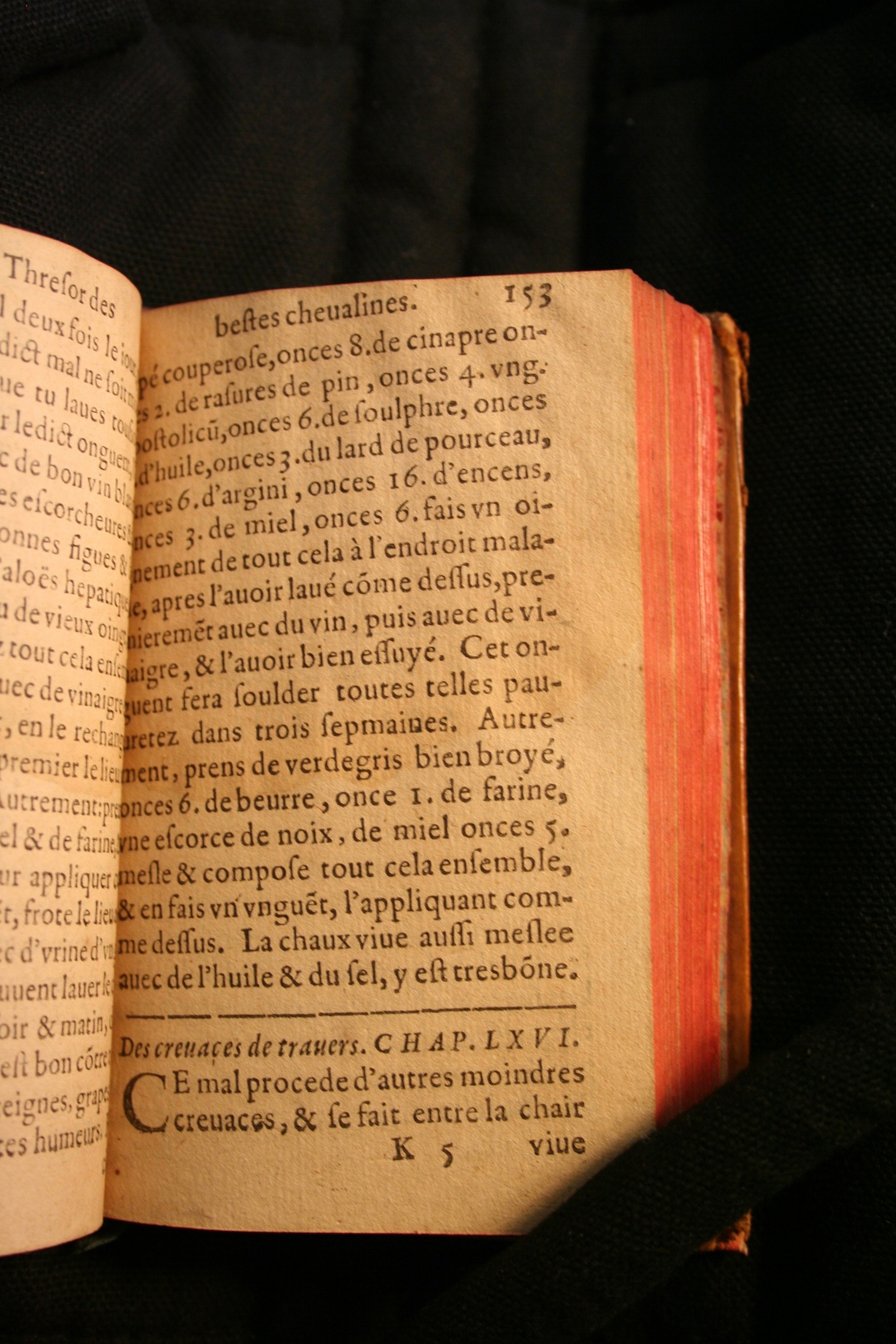 1591 - Pierre Chastaing et Benoît Rigaud - Trésor des bêtes chevalines - BM Bordeaux