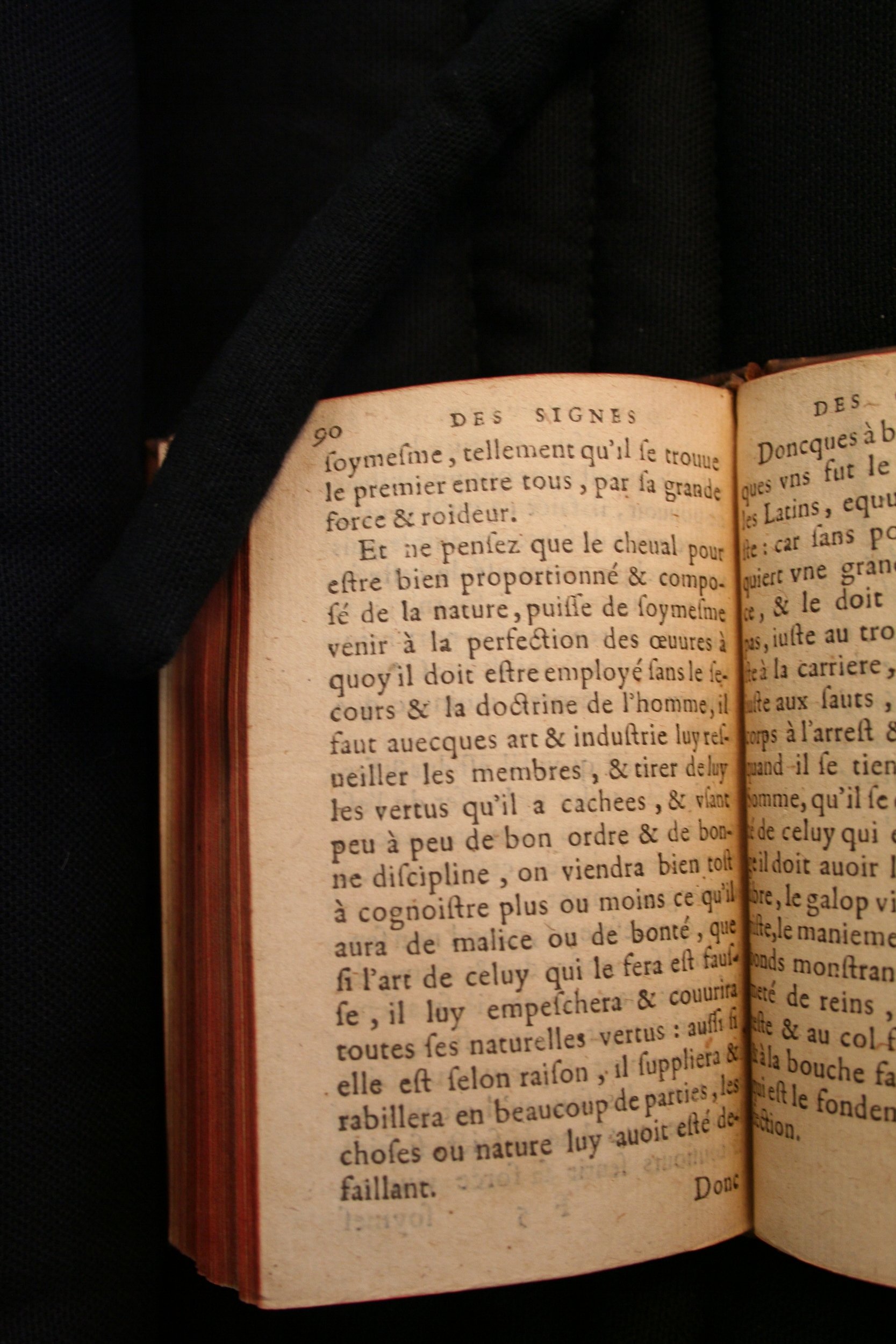1591 - Pierre Chastaing et Benoît Rigaud - Trésor des bêtes chevalines - BM Bordeaux