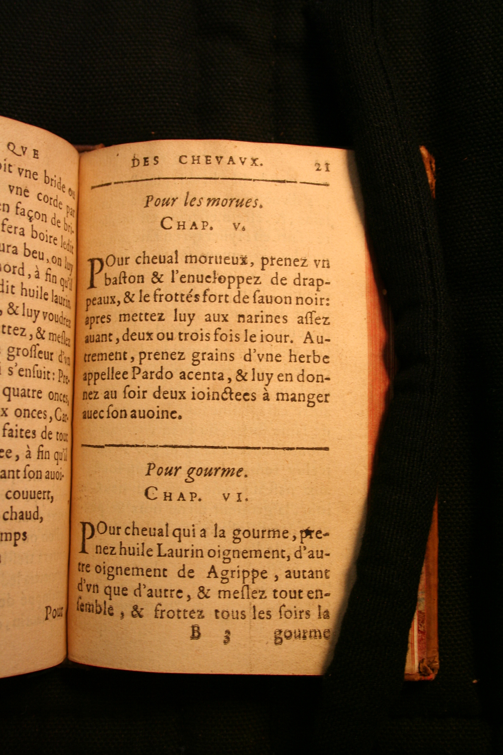 1591 - Pierre Chastaing et Benoît Rigaud - Trésor des bêtes chevalines - BM Bordeaux
