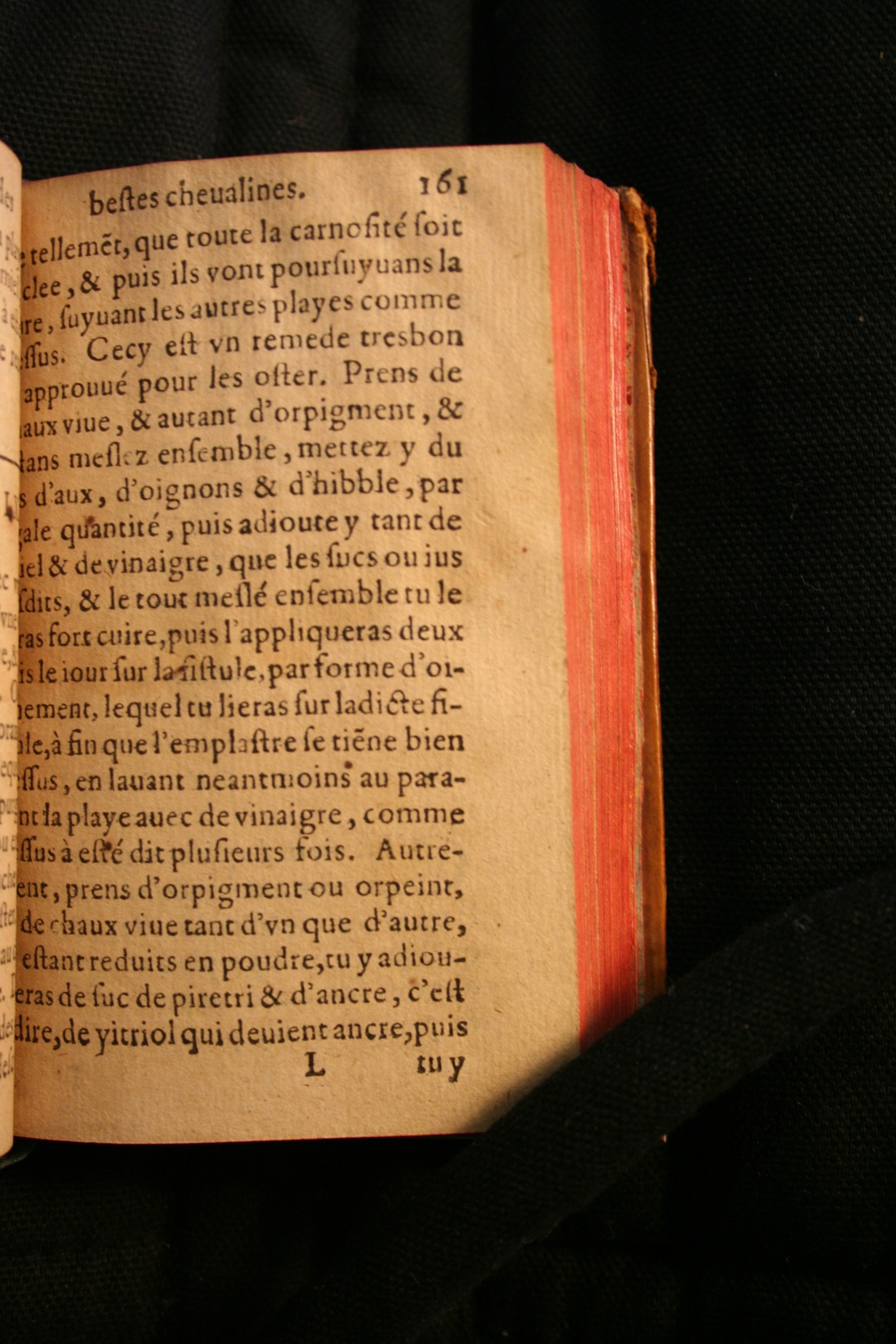 1591 - Pierre Chastaing et Benoît Rigaud - Trésor des bêtes chevalines - BM Bordeaux