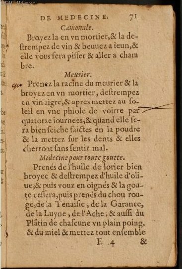 1586 - Benoît Rigaud - Trésor des fleurs et secrets de médecine - Université Paris Cité