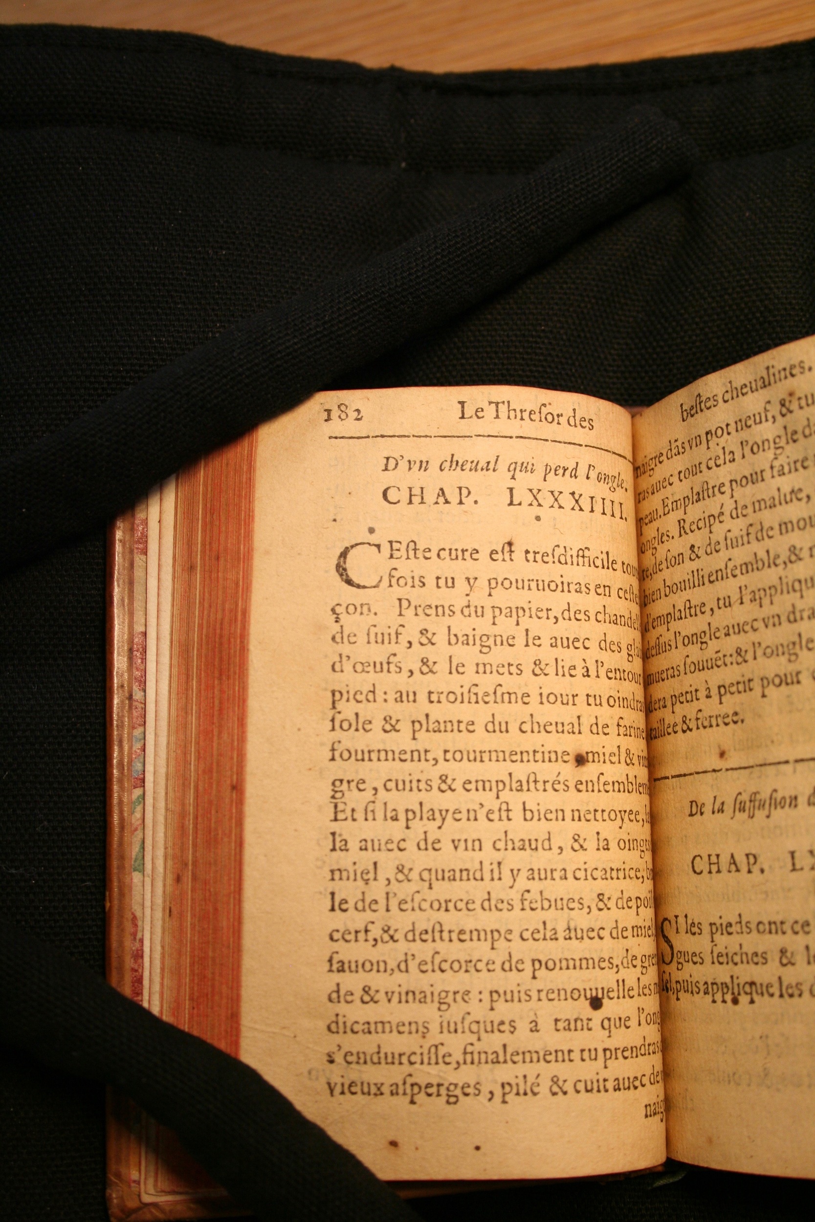 1591 - Pierre Chastaing et Benoît Rigaud - Trésor des bêtes chevalines - BM Bordeaux